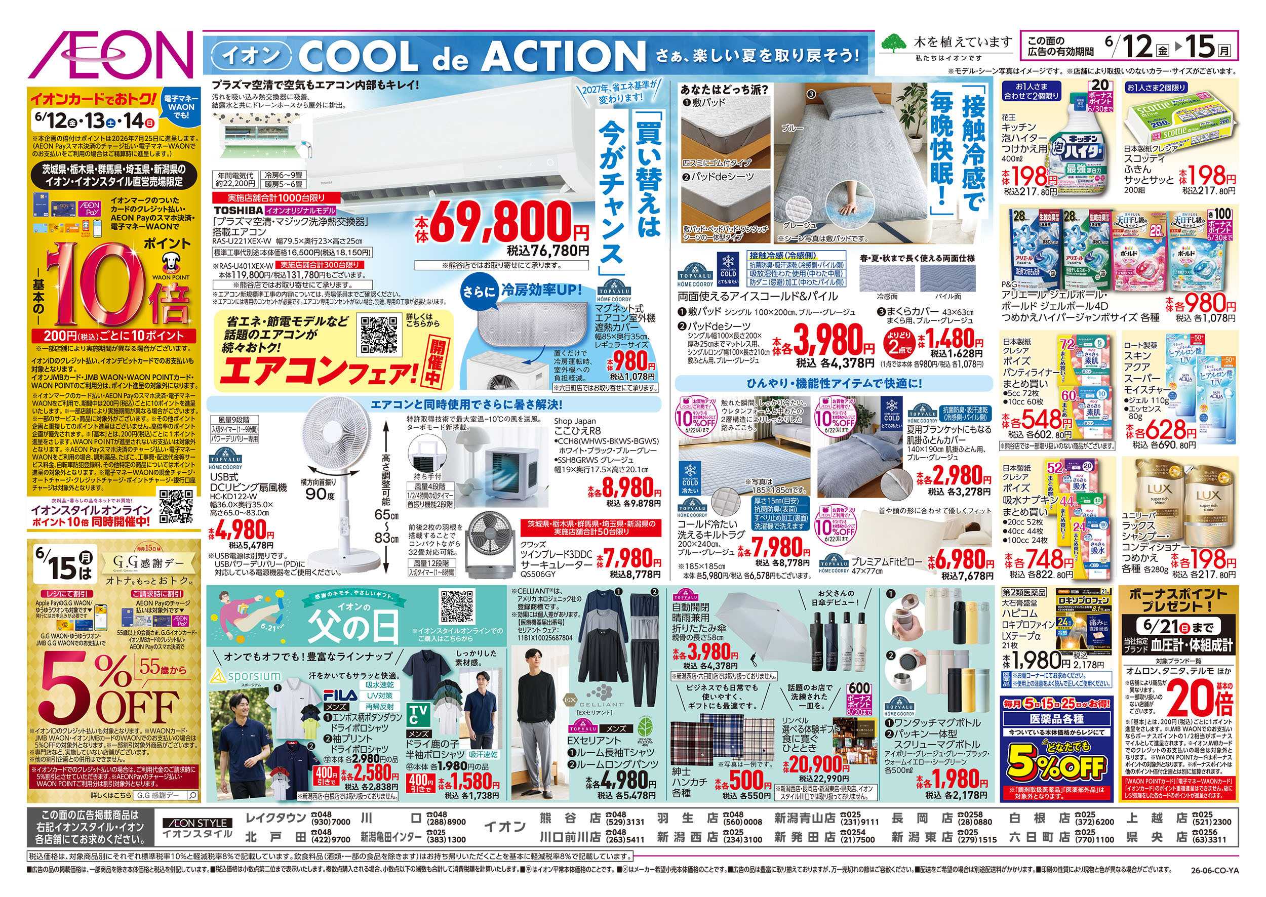 イオン 6/12号　ベトナムフェア：裏面
