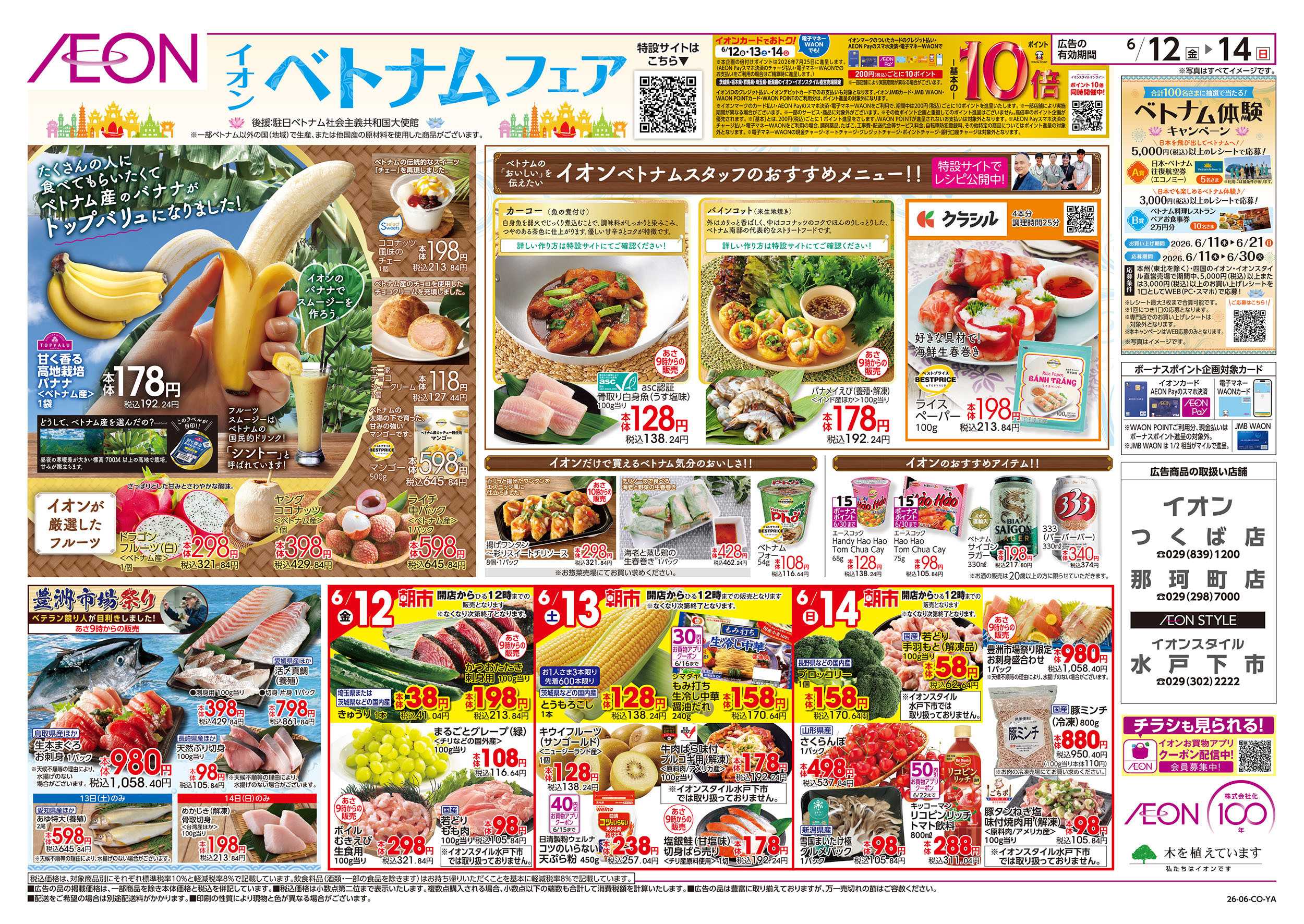 イオンスタイル 6/12号　ベトナムフェア：表面
