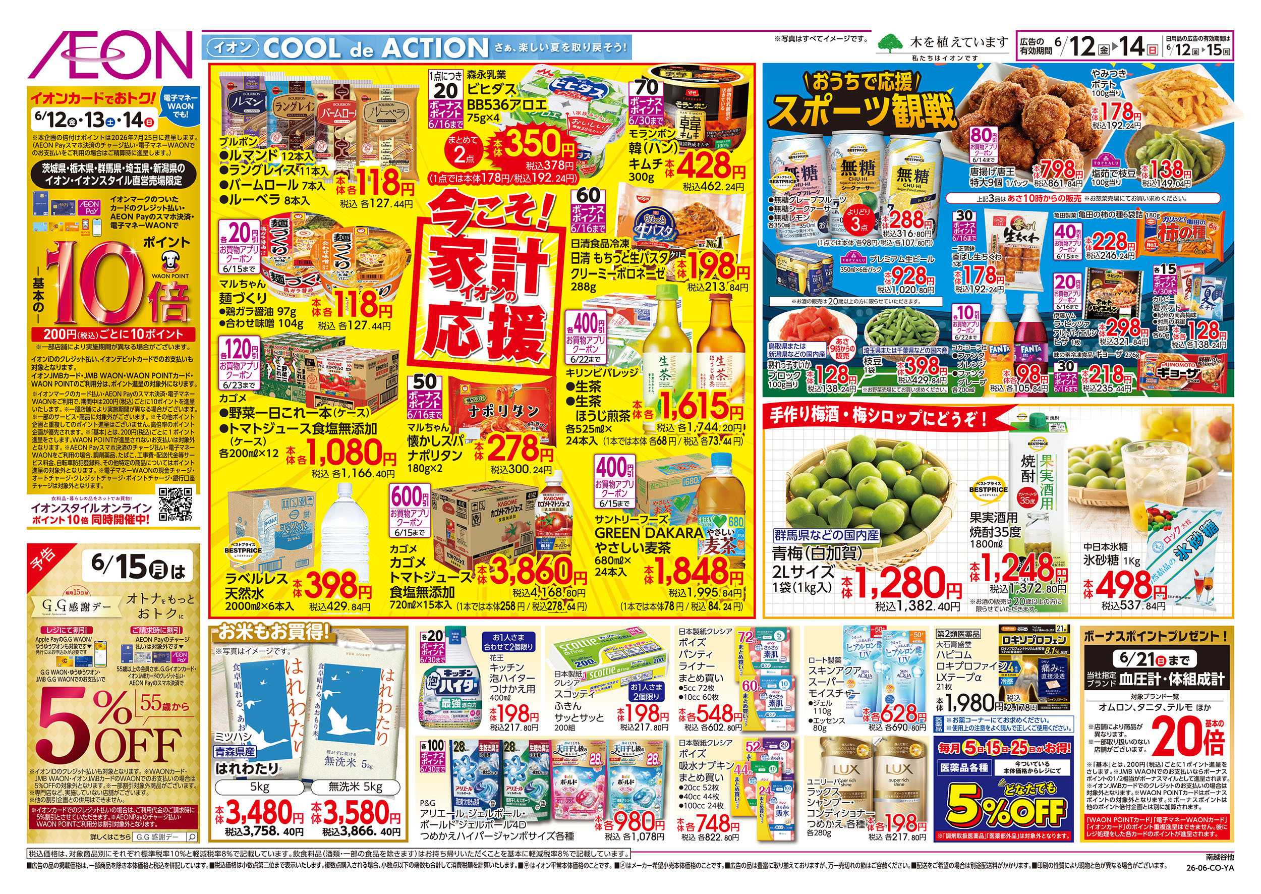 イオン 6/12号　ベトナムフェア：裏面
