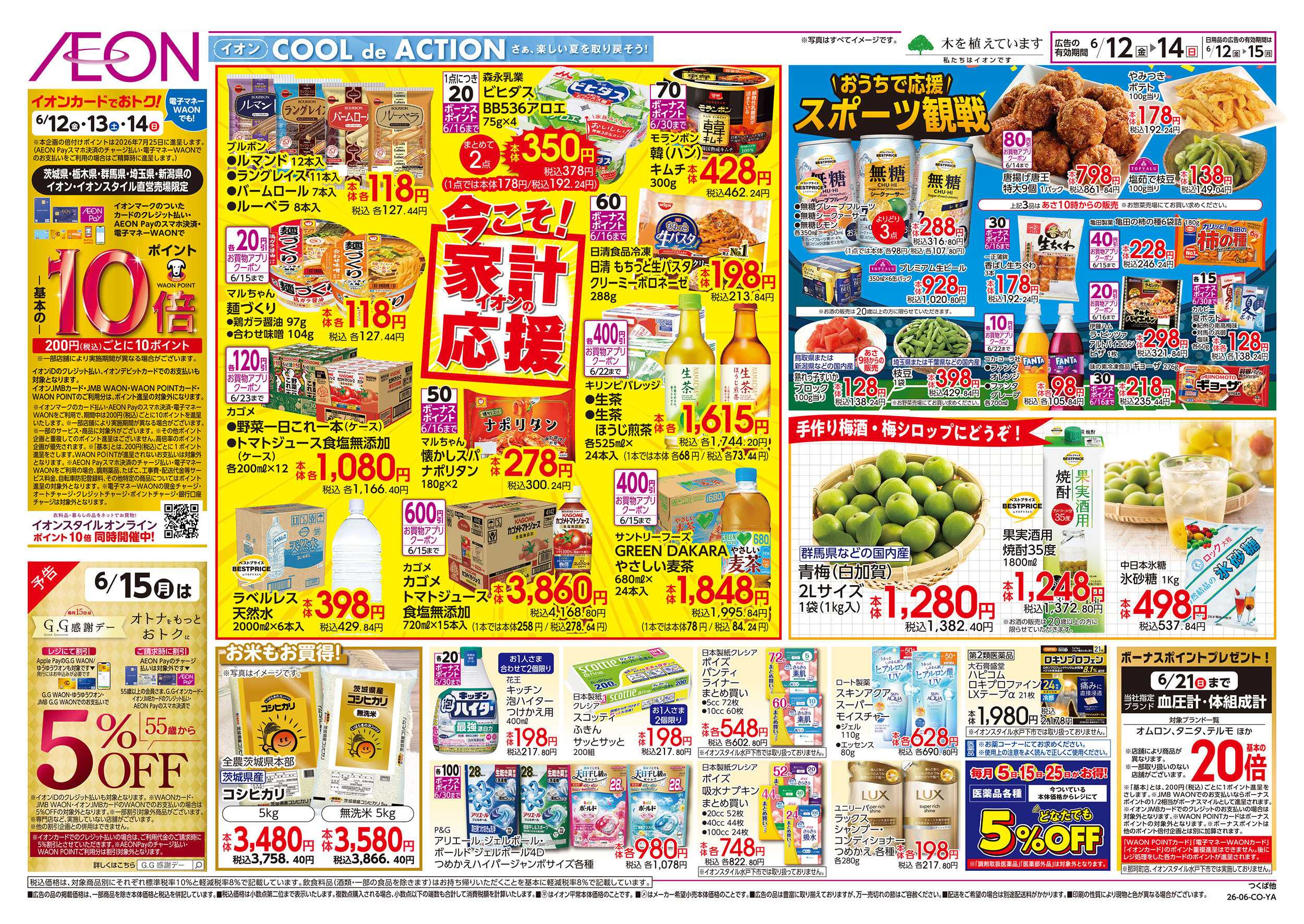 イオンスタイル 6/12号　ベトナムフェア：裏面