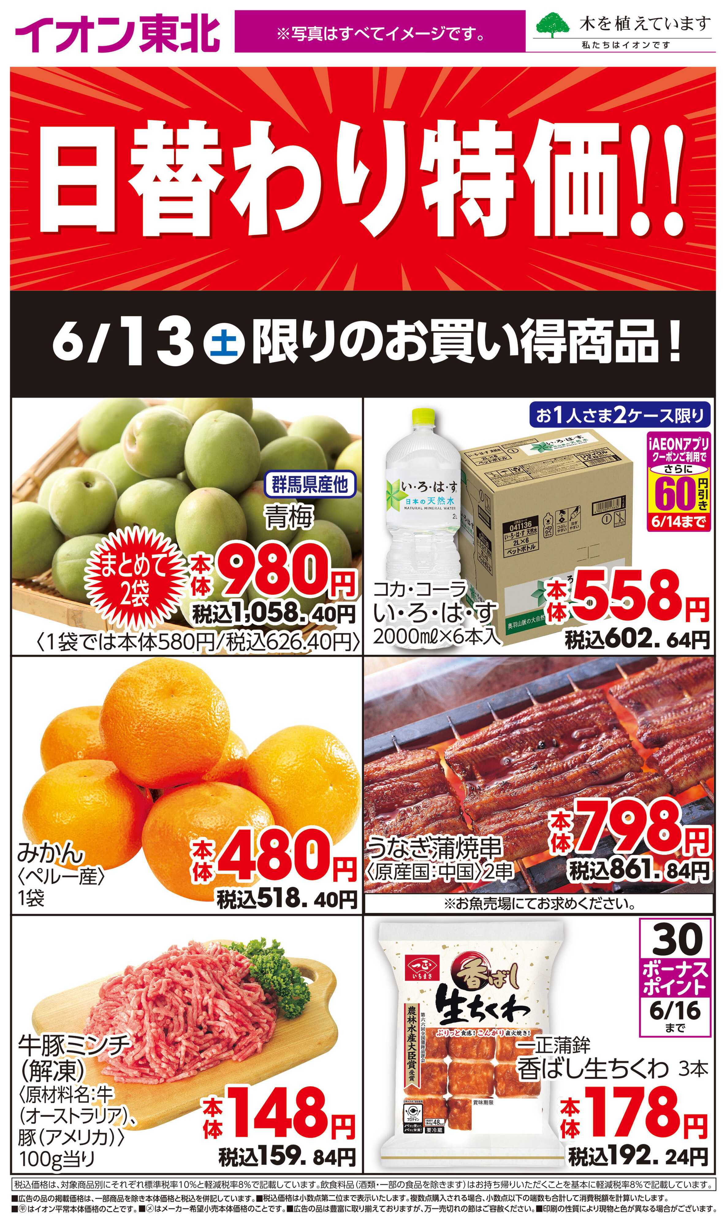 イオン 6月13日日替わり