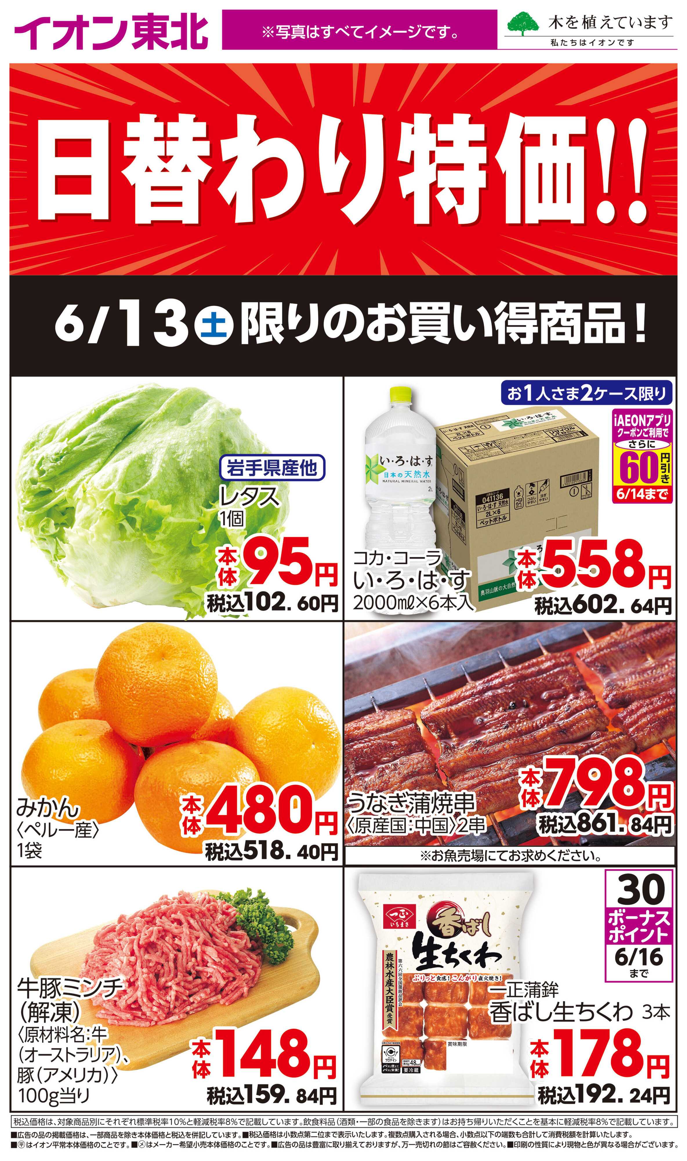 イオンスタイル 6月13日日替わり