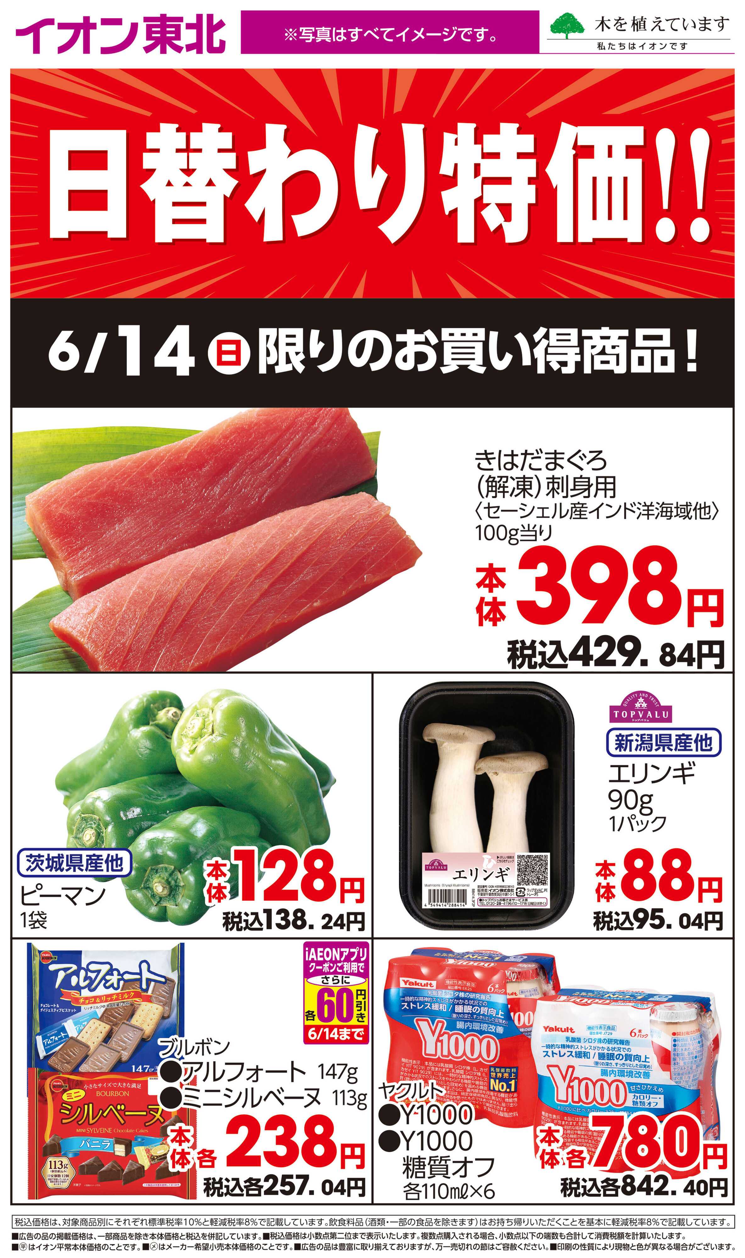イオン 6月14日日替わり