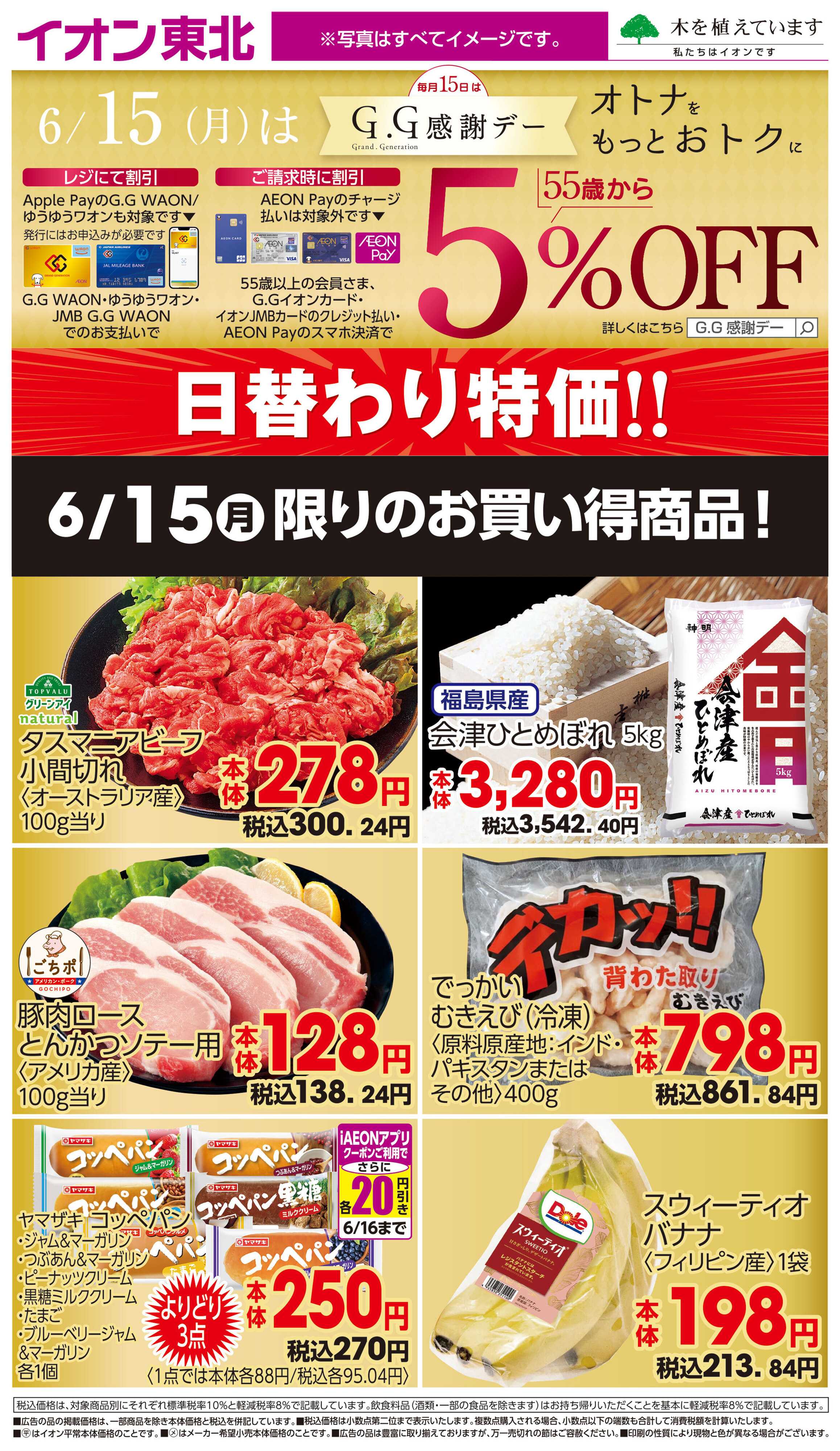 イオン 6月15日日替わり