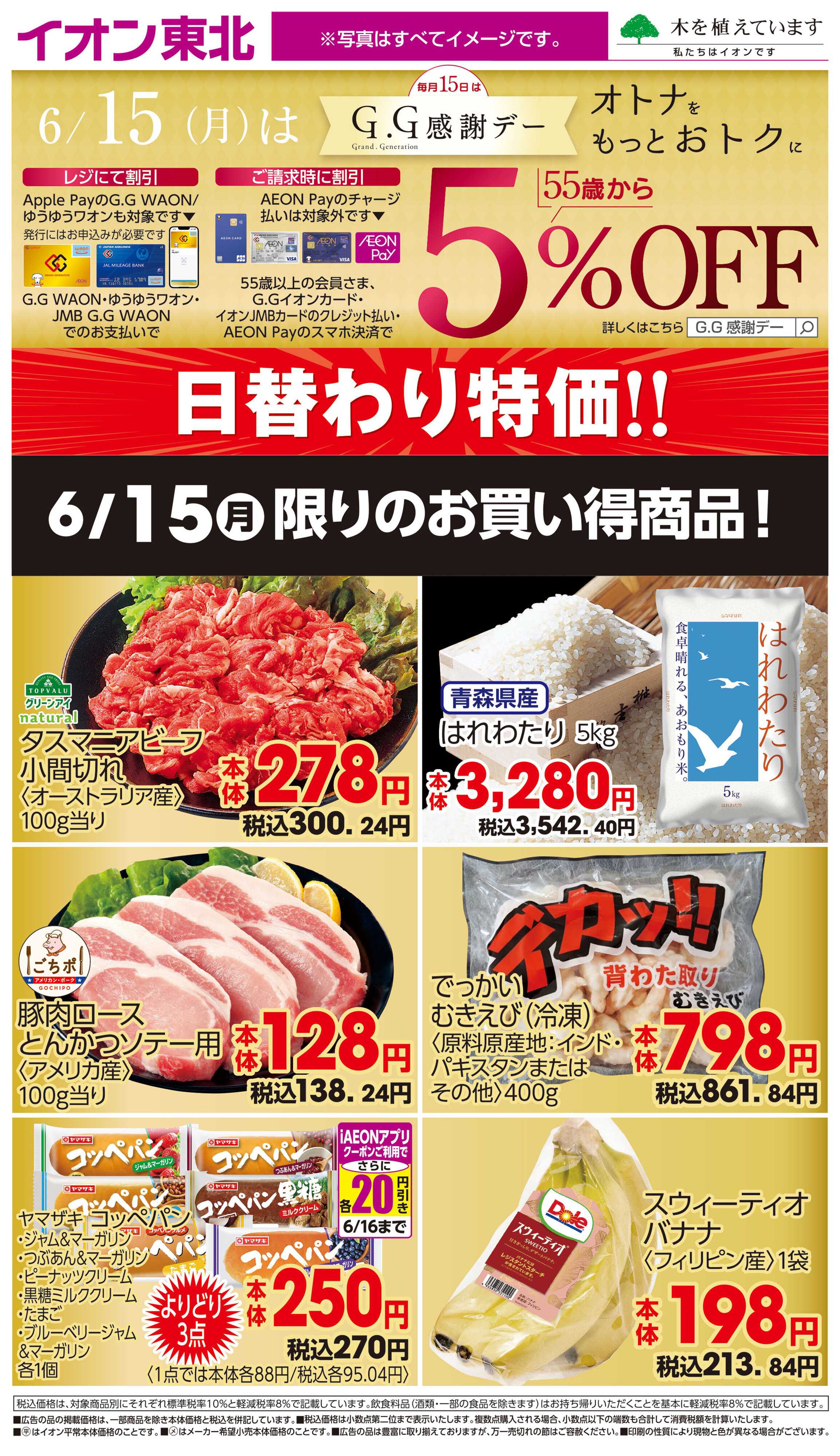 イオン 6月15日日替わり