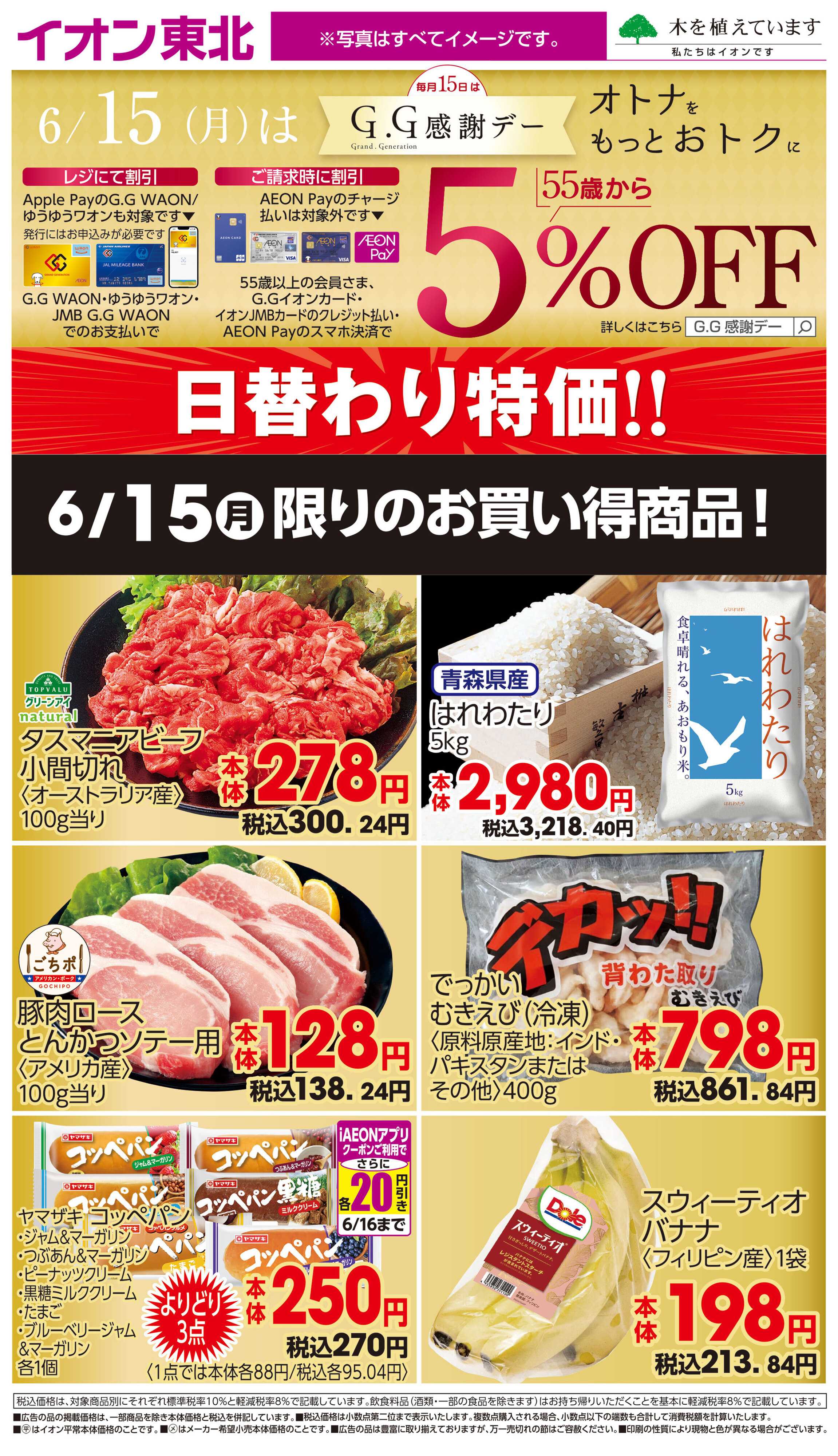イオンスタイル 6月15日日替わり