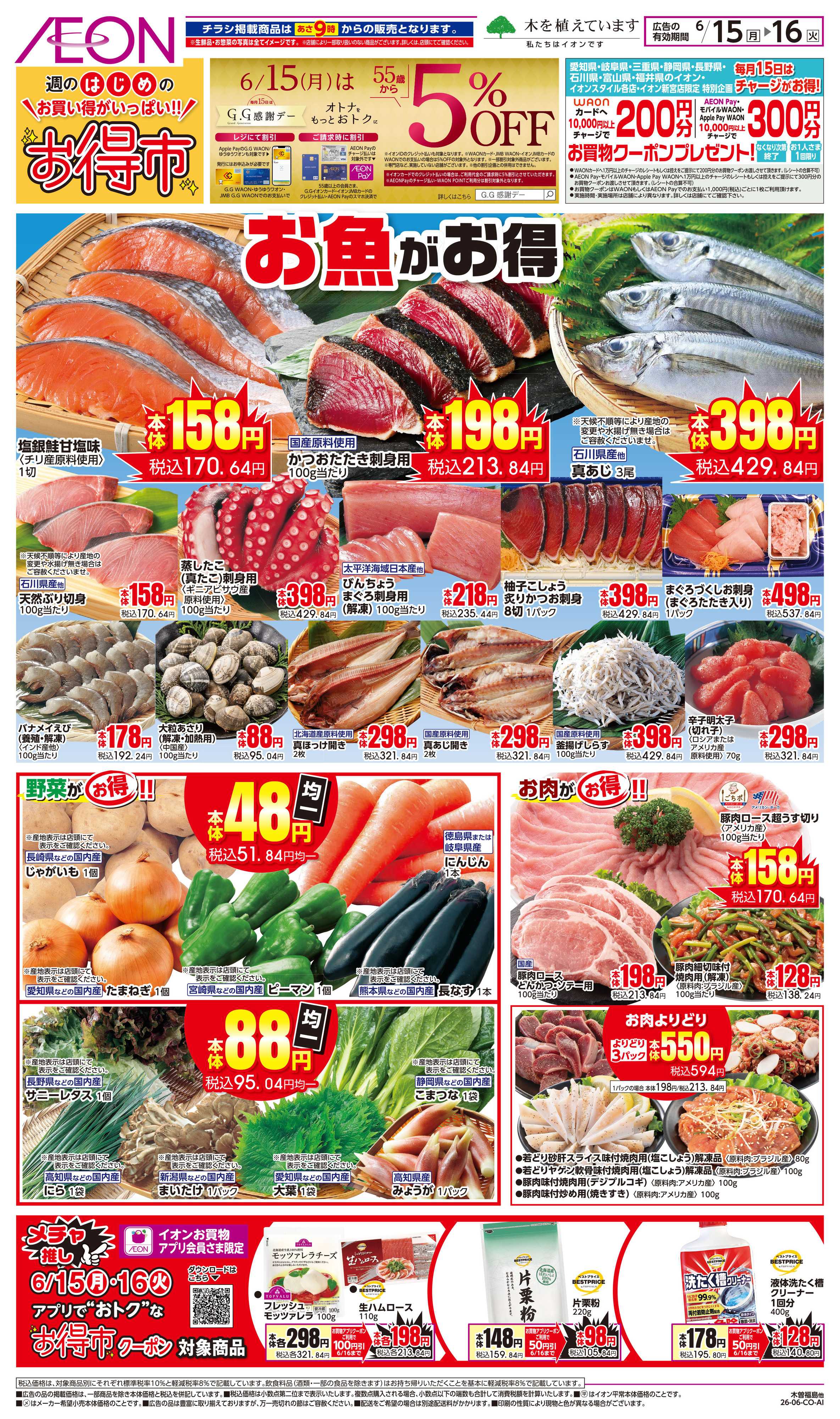 イオン 6/15〜6/16