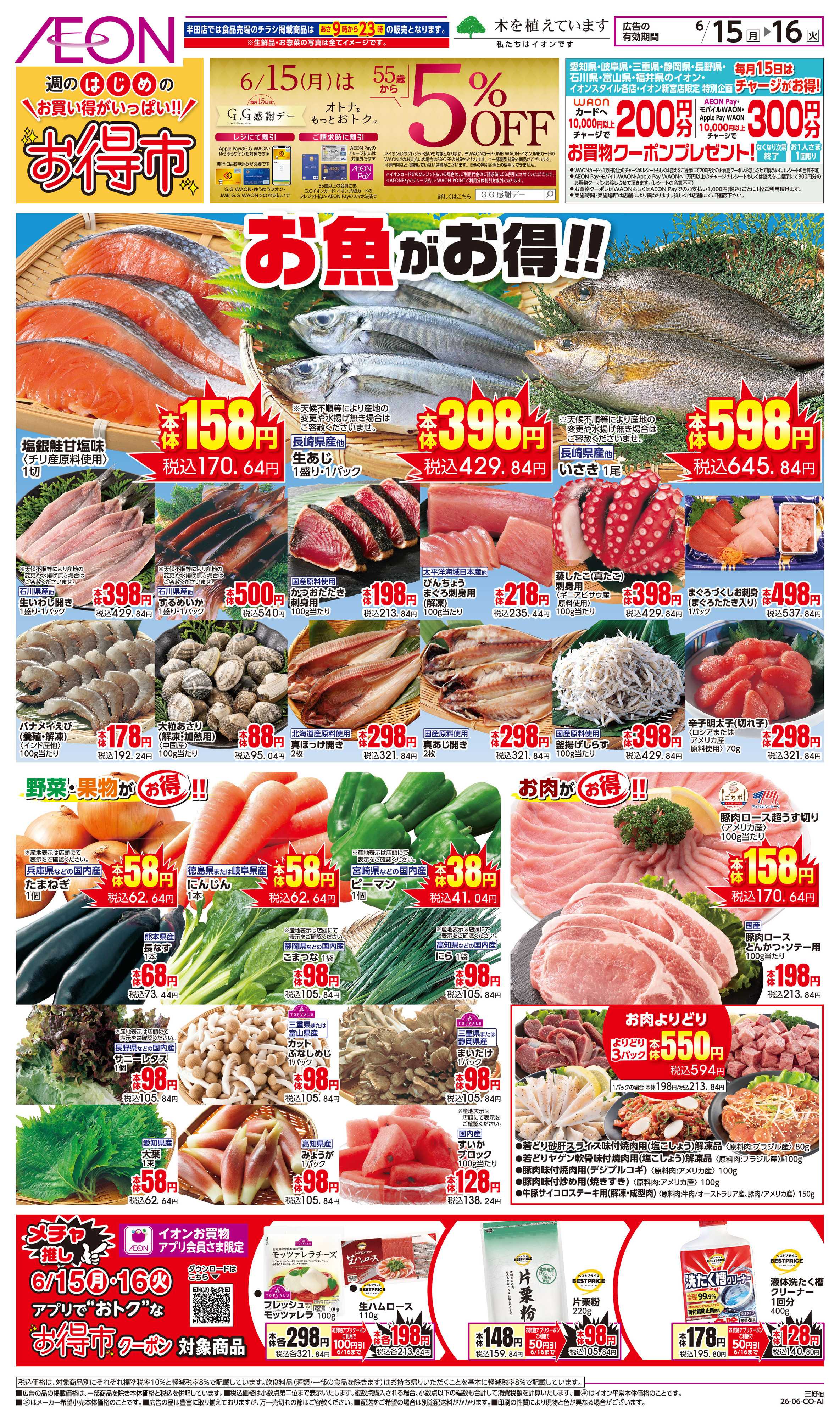 イオン 6/15〜6/16