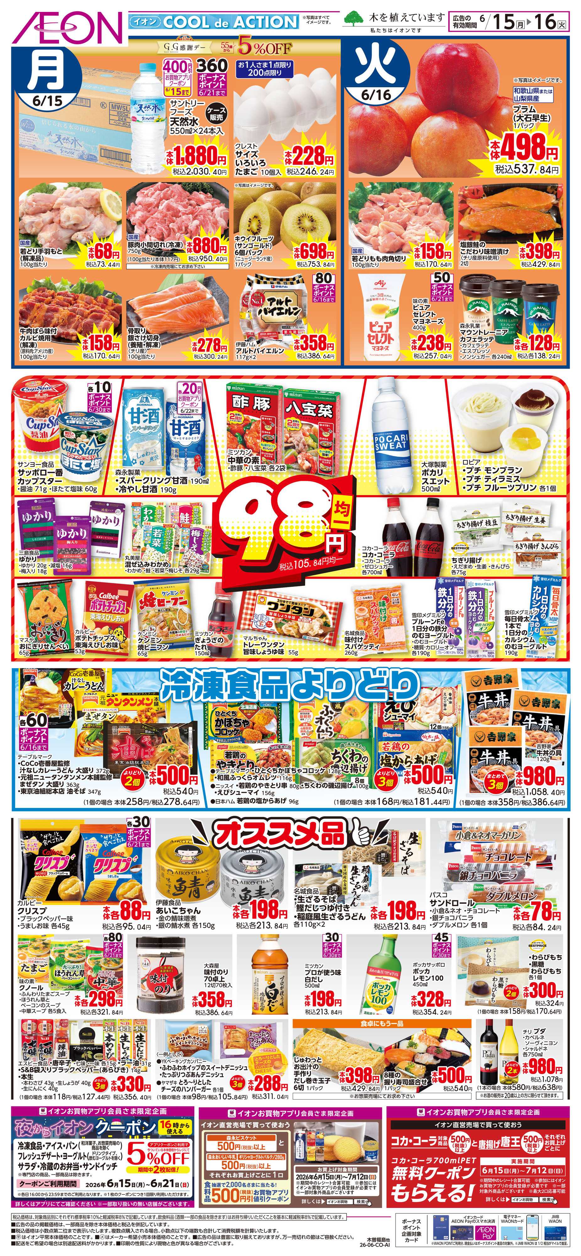イオン 6/15〜6/16