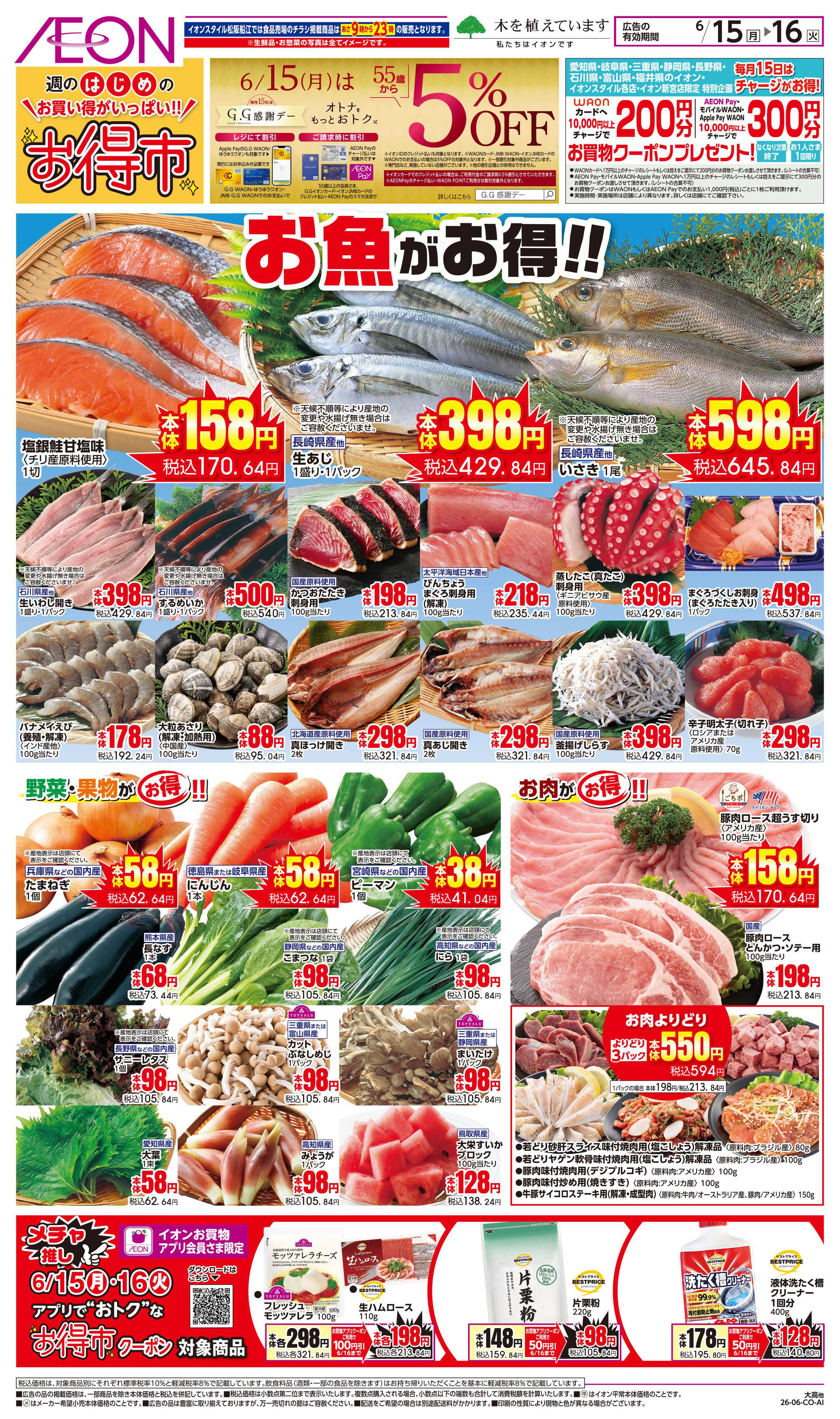 イオン 6/15〜6/16