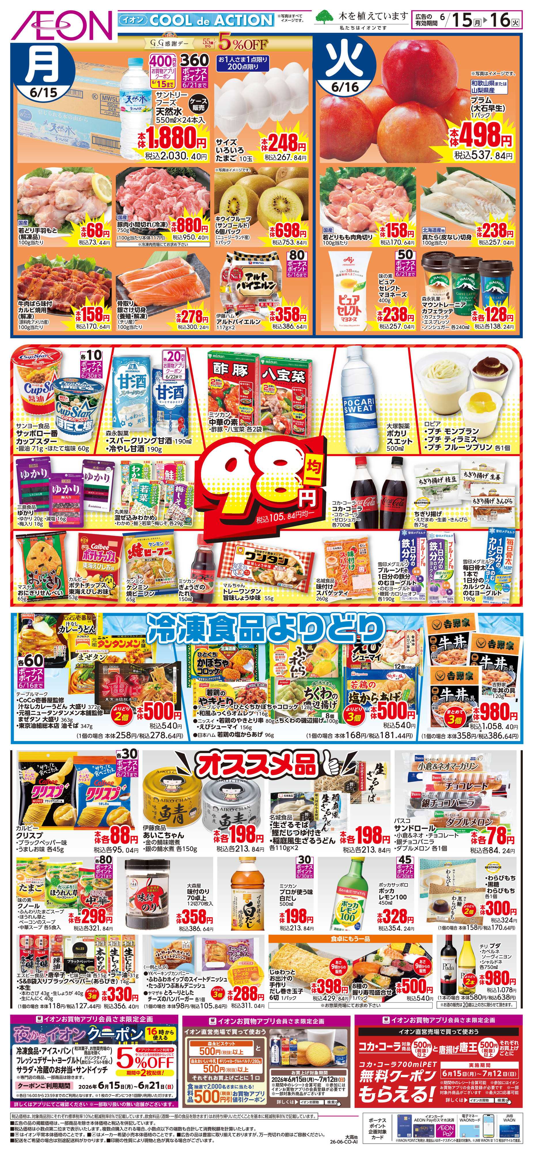 イオン 6/15〜6/16
