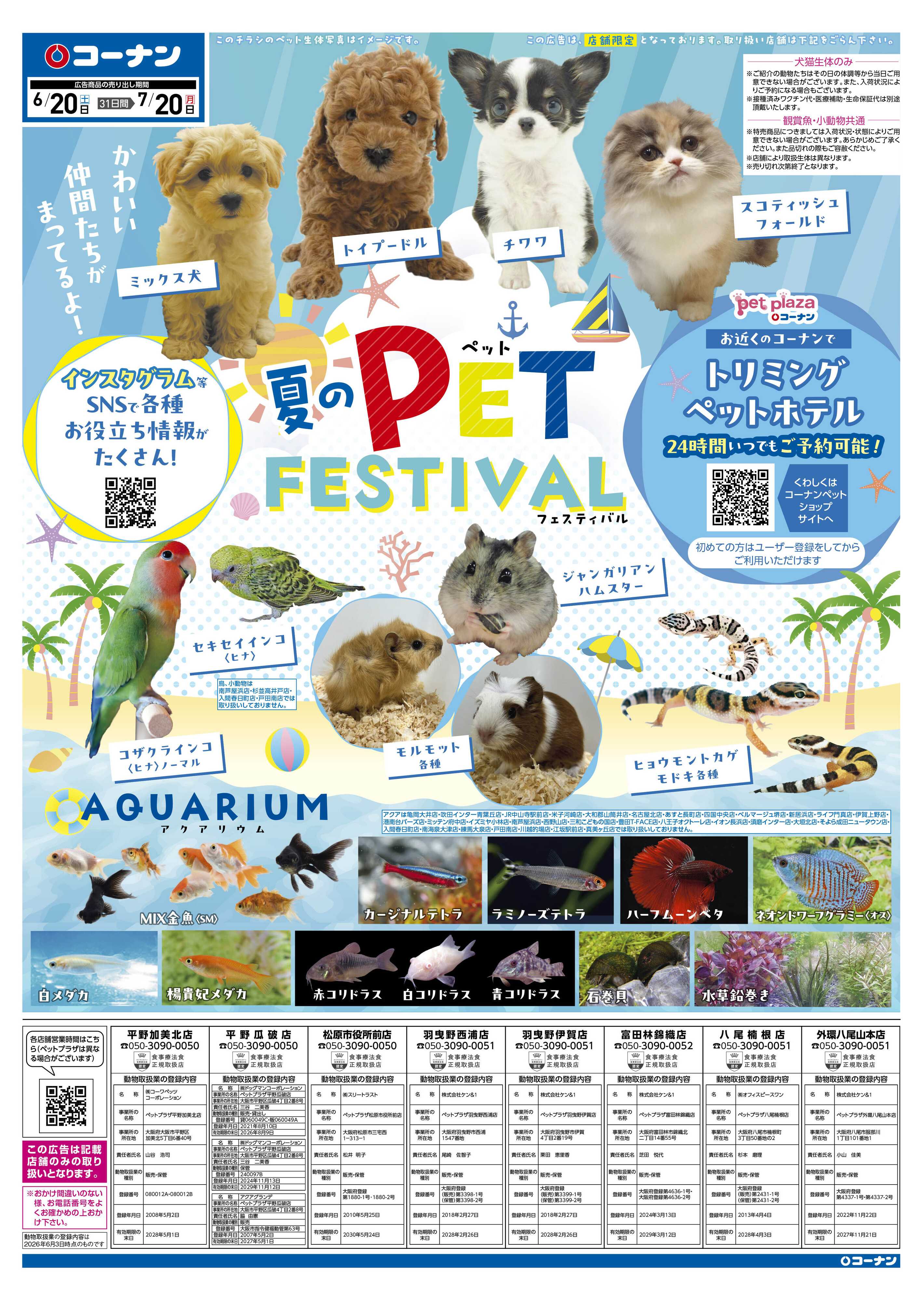 コーナン 夏のペットフェスティバルチラシ