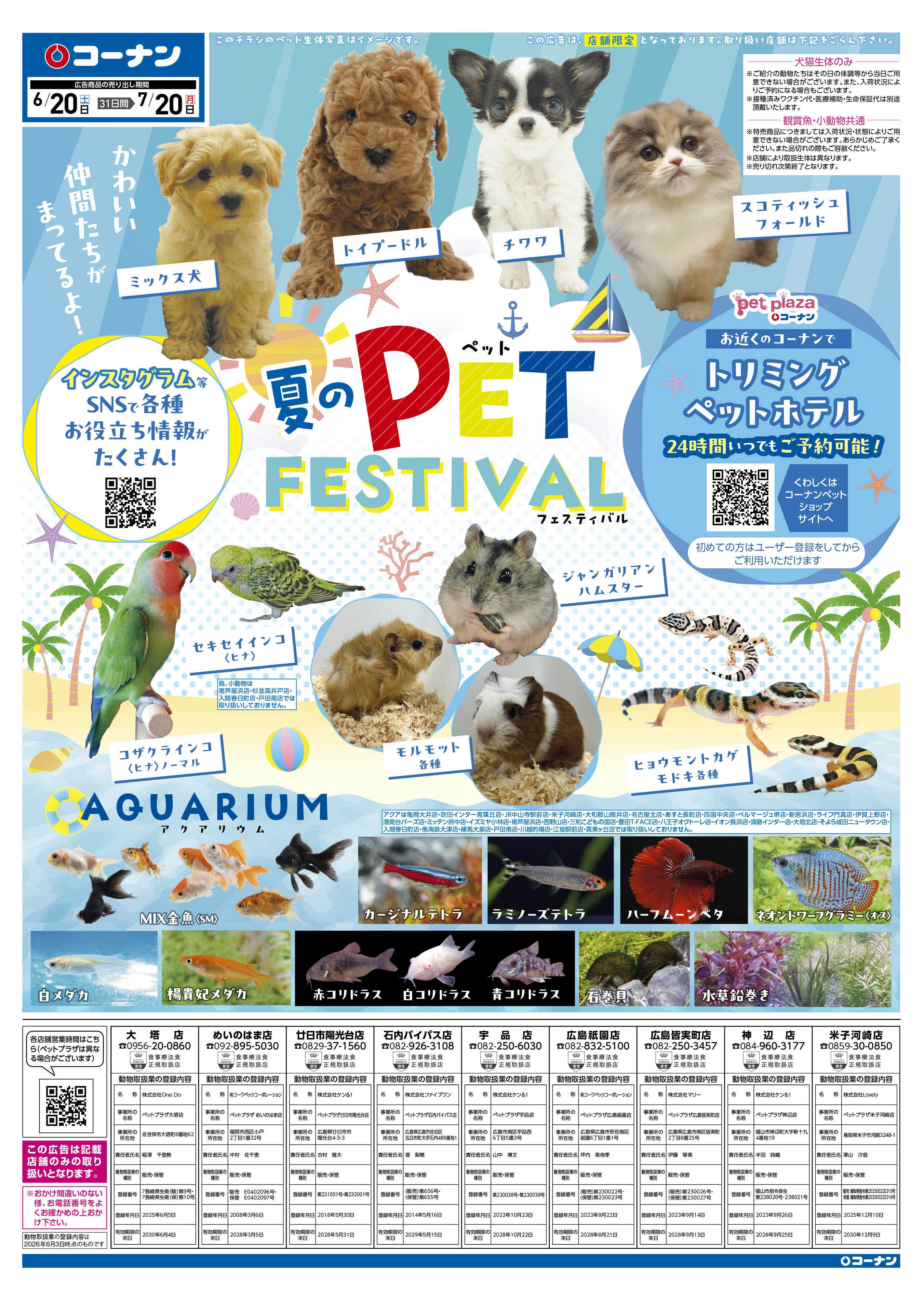 コーナン 夏のペットフェスティバルチラシ