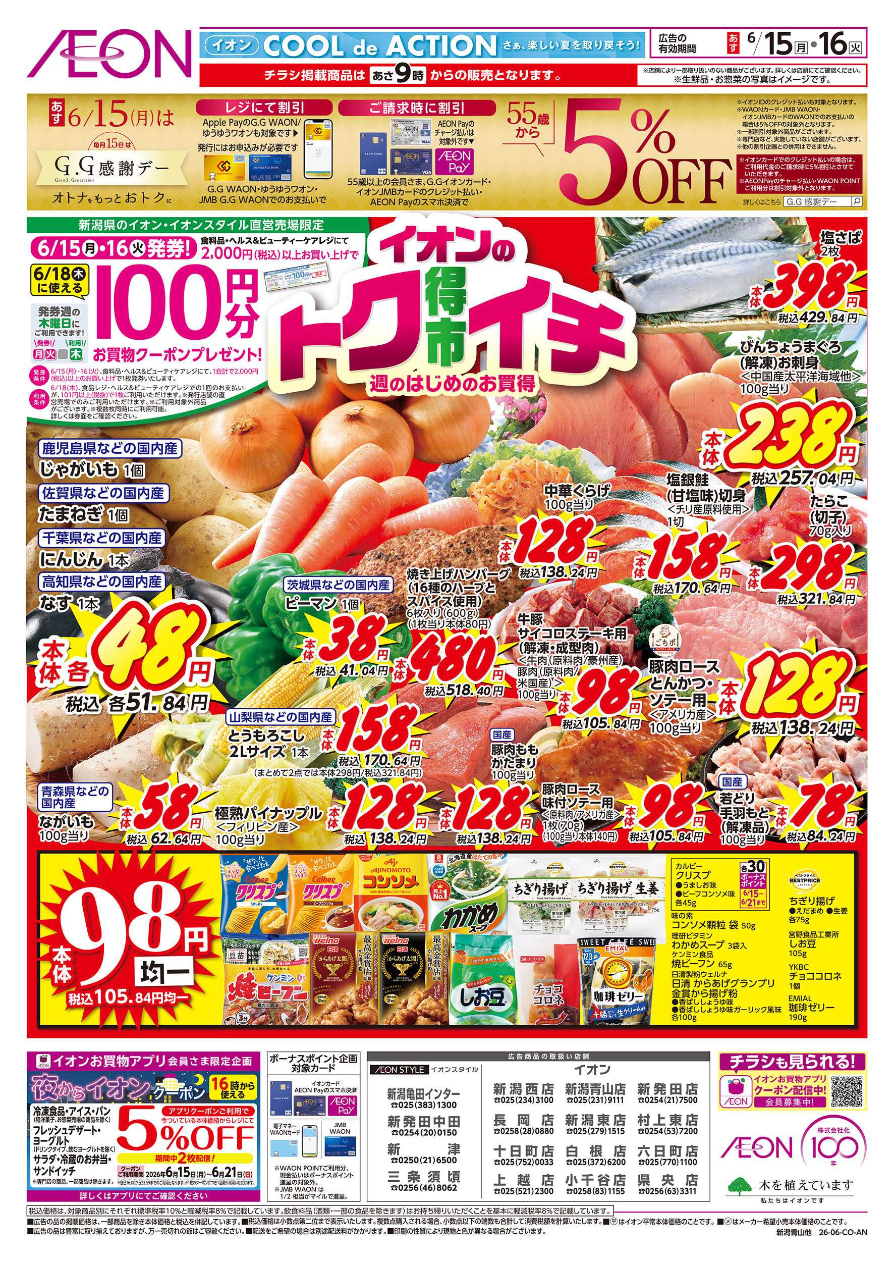 イオン 6/15号　イオンのトクイチ：表面