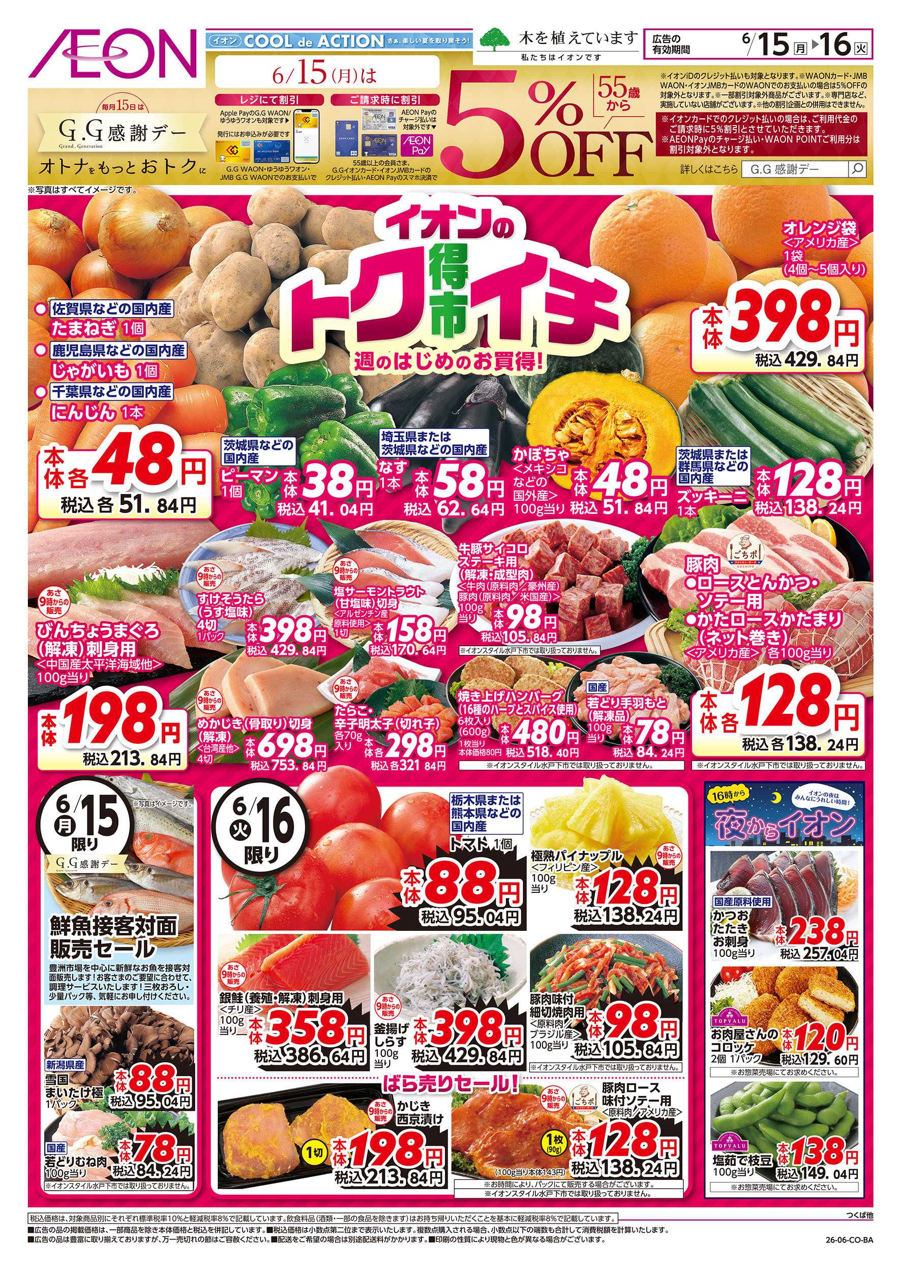イオン 6/15号　イオンのトクイチ：表面