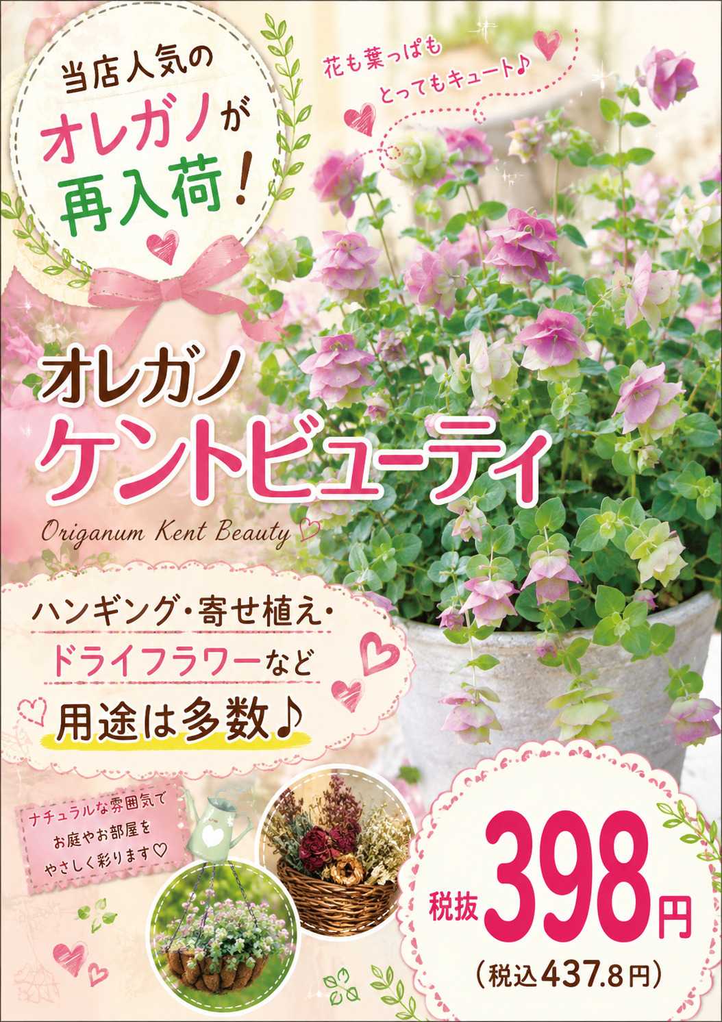 ホームセンタームサシ ムサシ須坂店おススメ情報