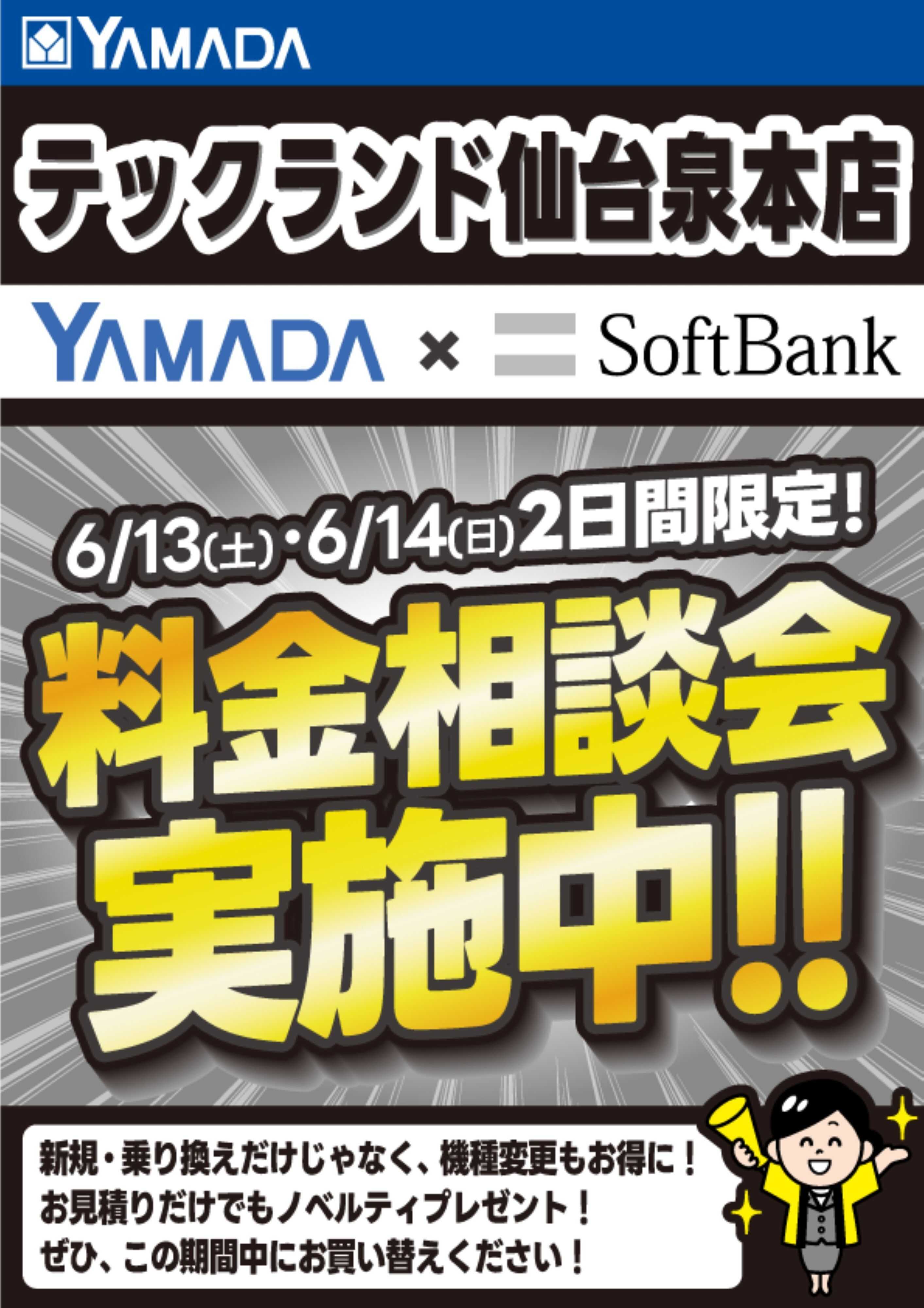 ヤマダデンキ 土日限定企画！