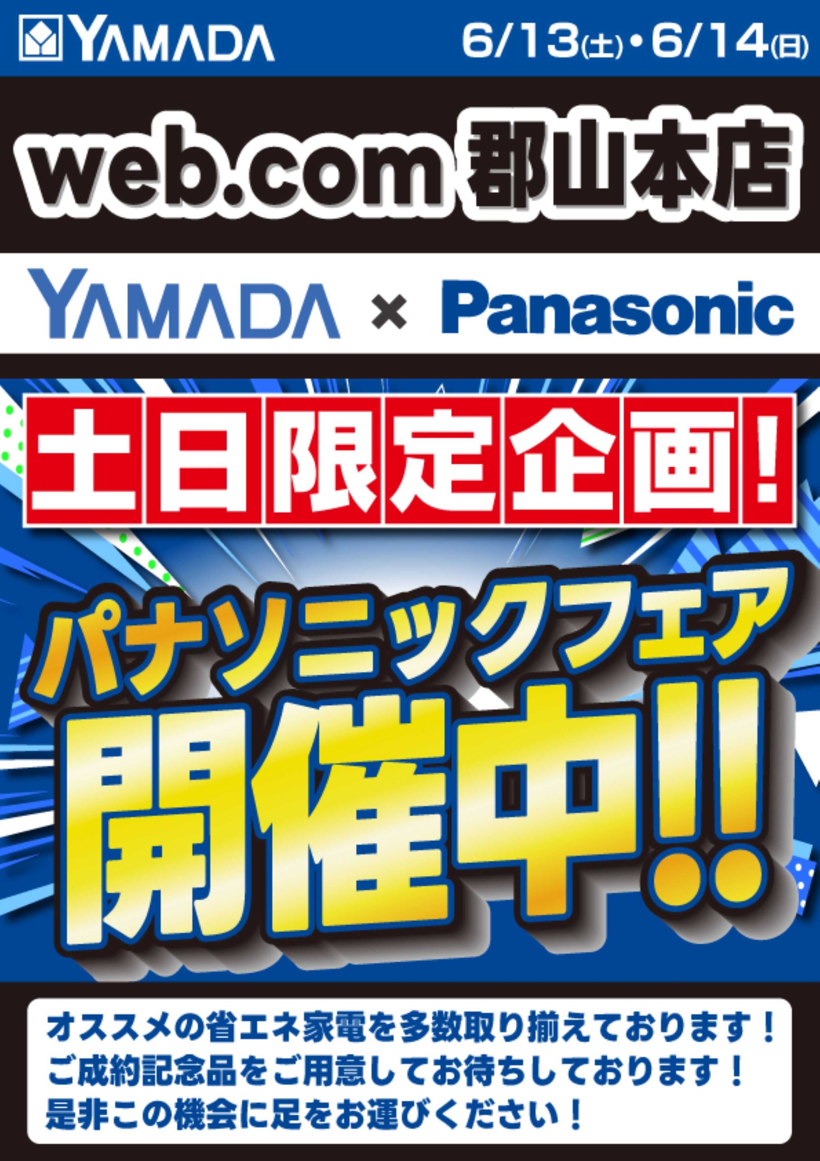 ヤマダデンキ 土日限定企画！