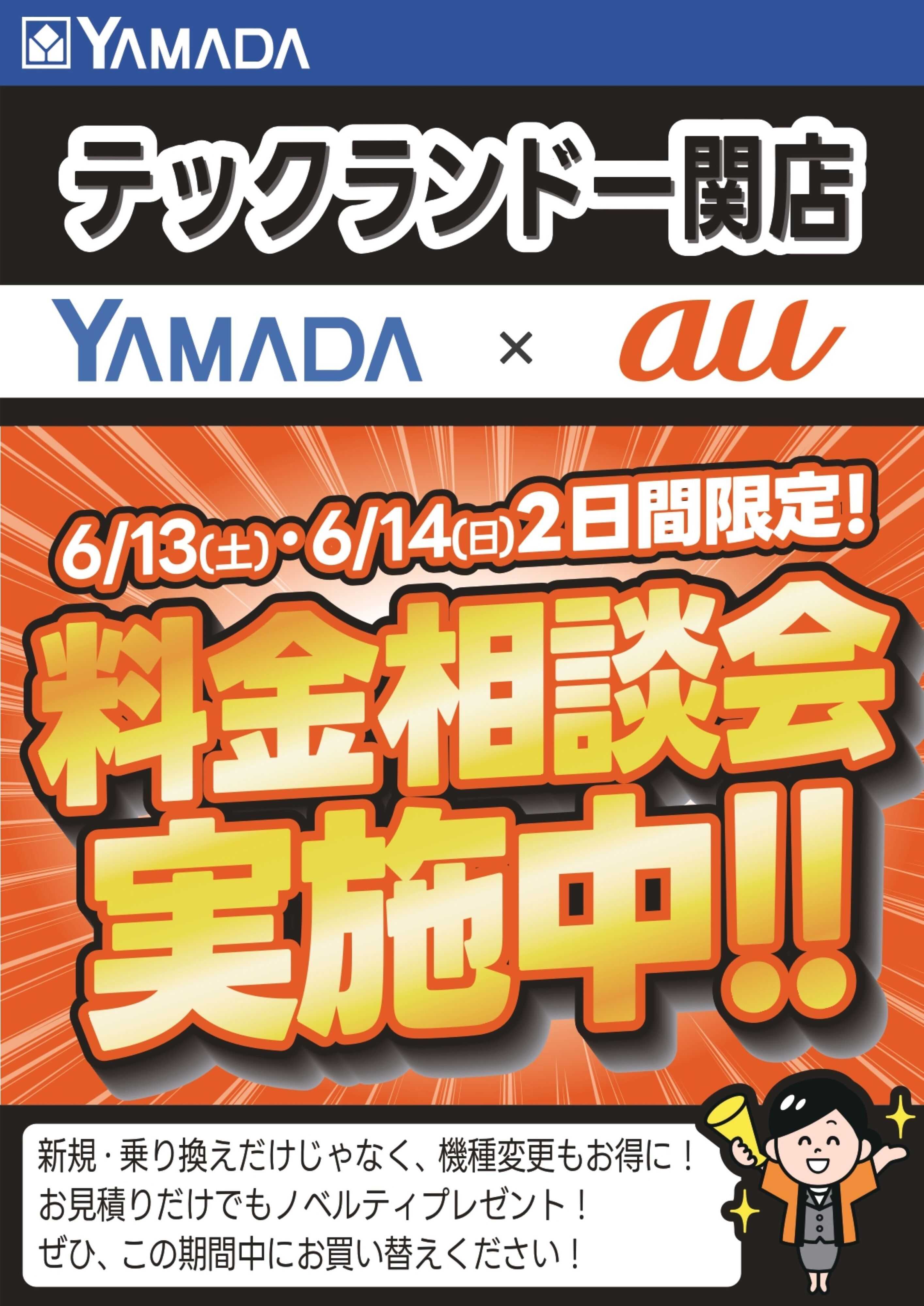 ヤマダデンキ 土日限定企画！