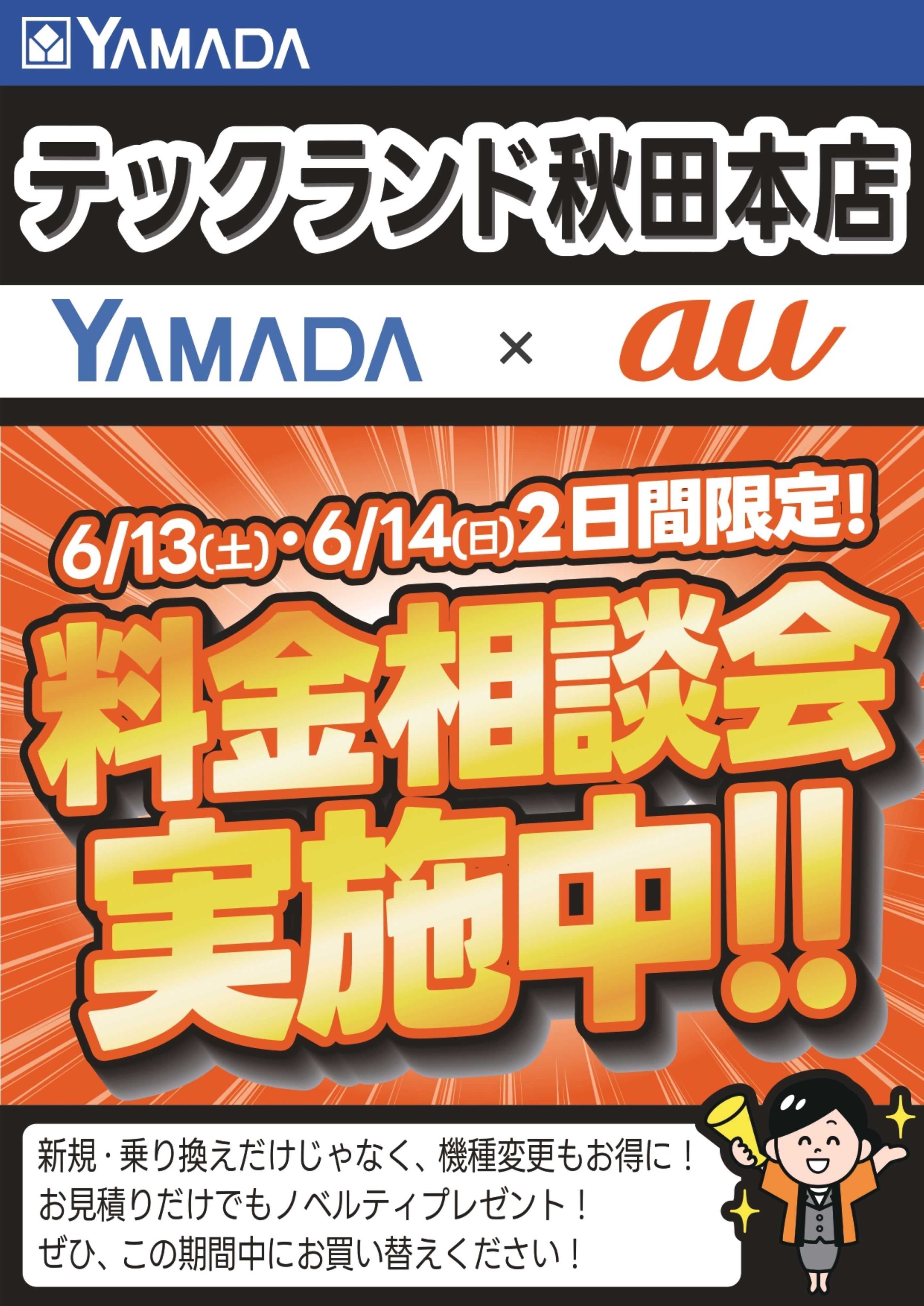 ヤマダデンキ 土日限定企画！