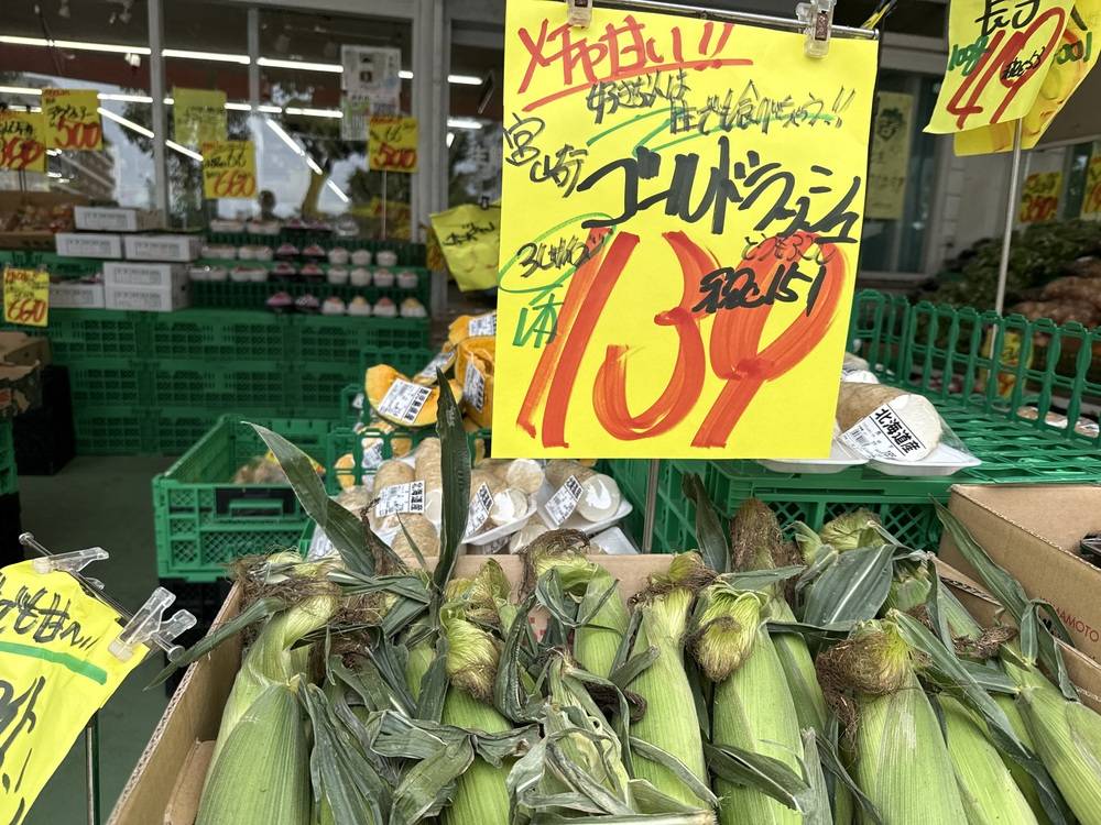 たこ一 門真店の最新チラシ・セール情報 | クラシルチラシ