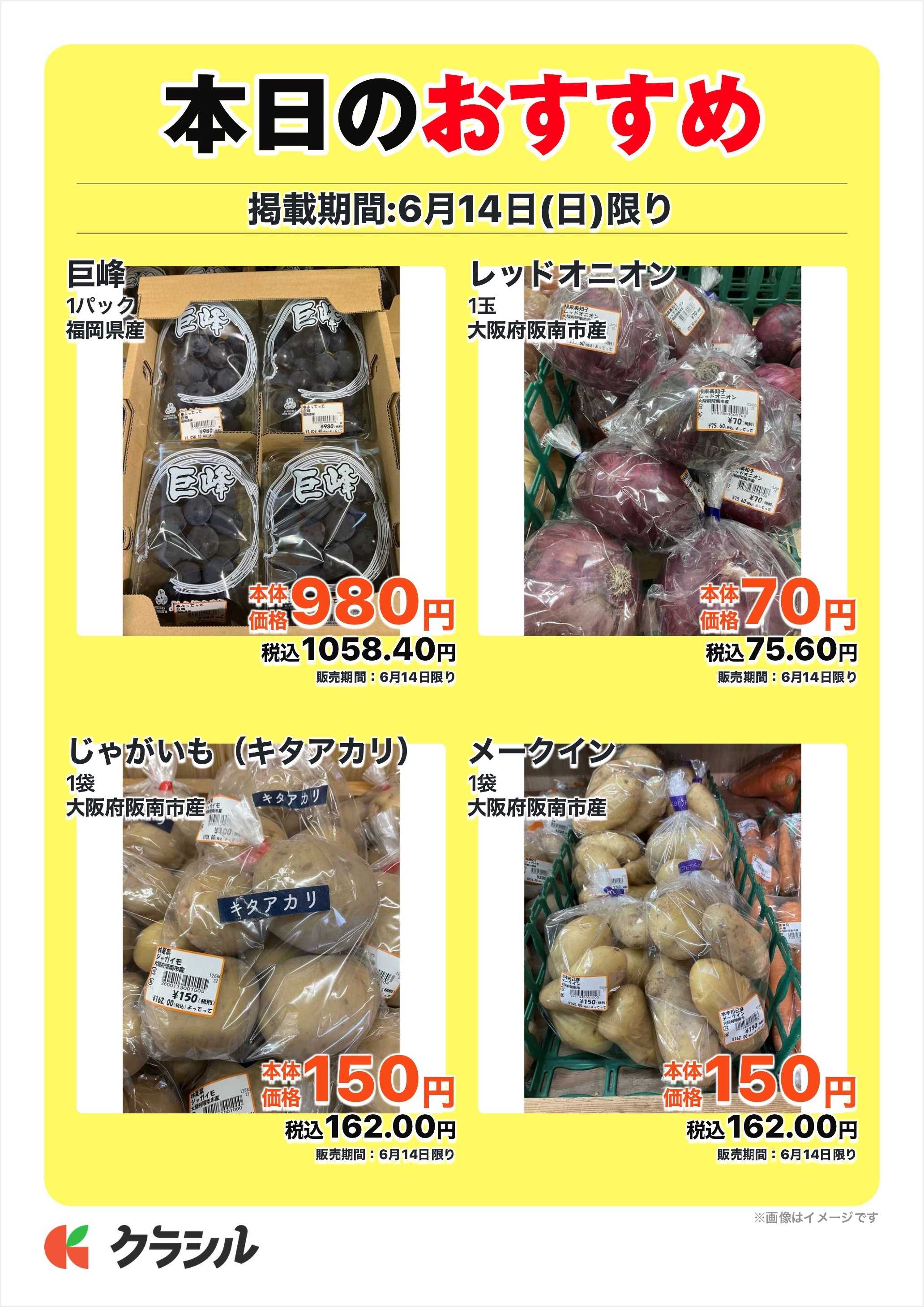 産直市場よってって 本日のおすすめ
