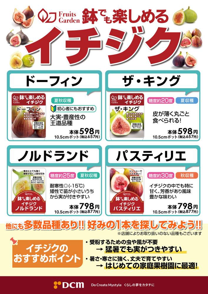 DCM 川之江店の最新チラシ・セール情報 | クラシルチラシ