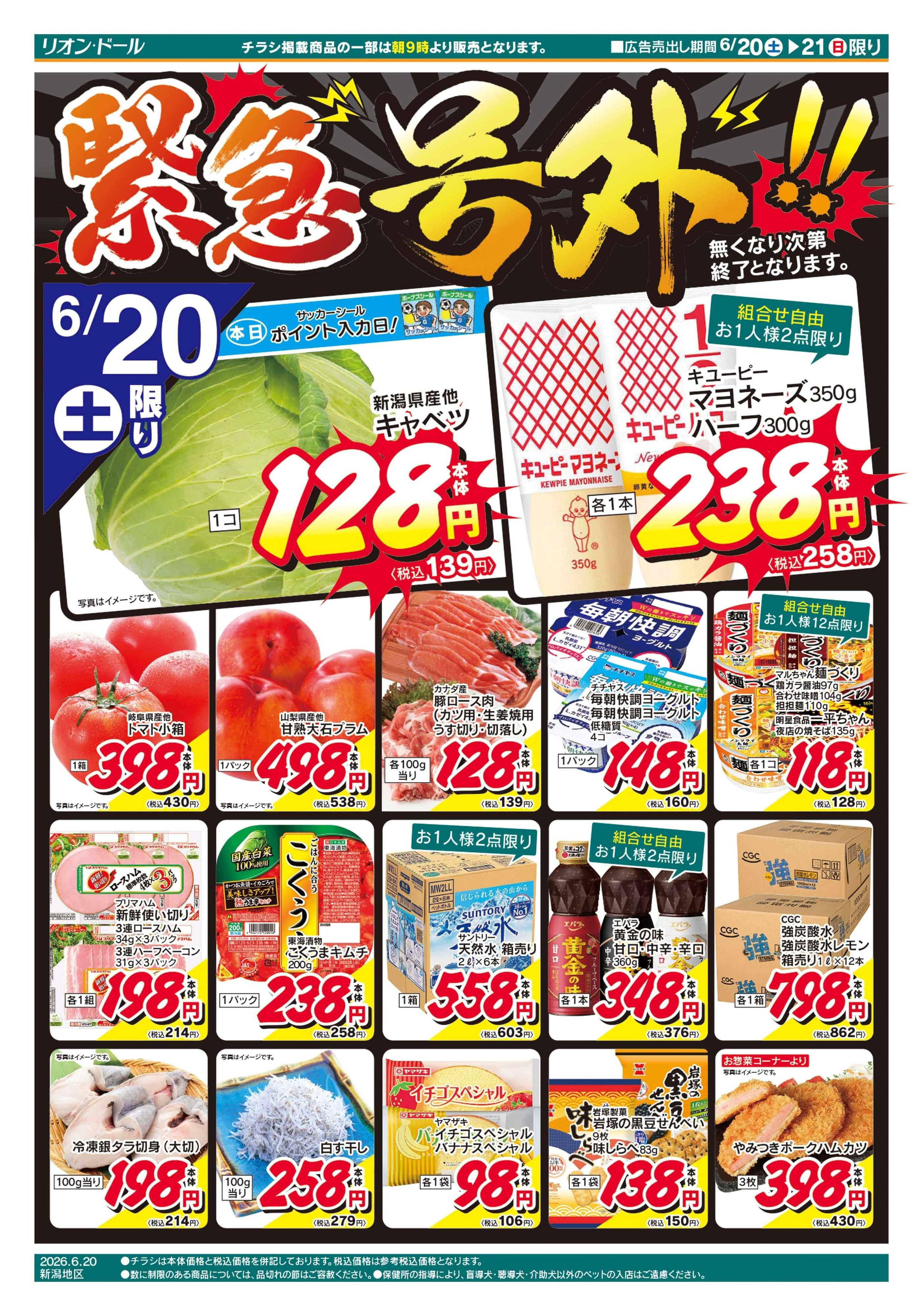 リオン・ドール 6/20号緊急号外