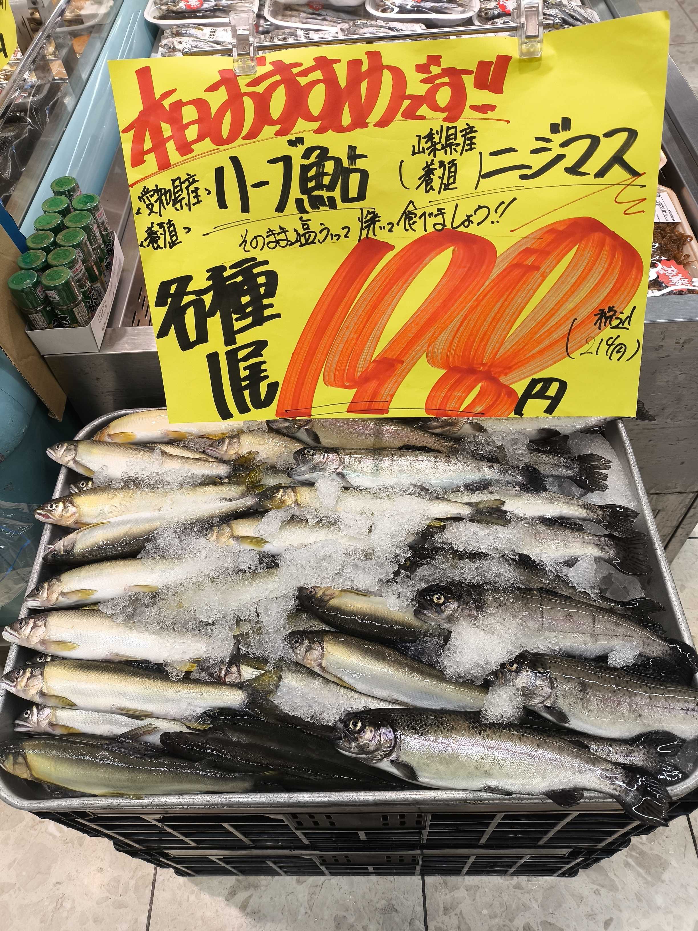 たこ一 