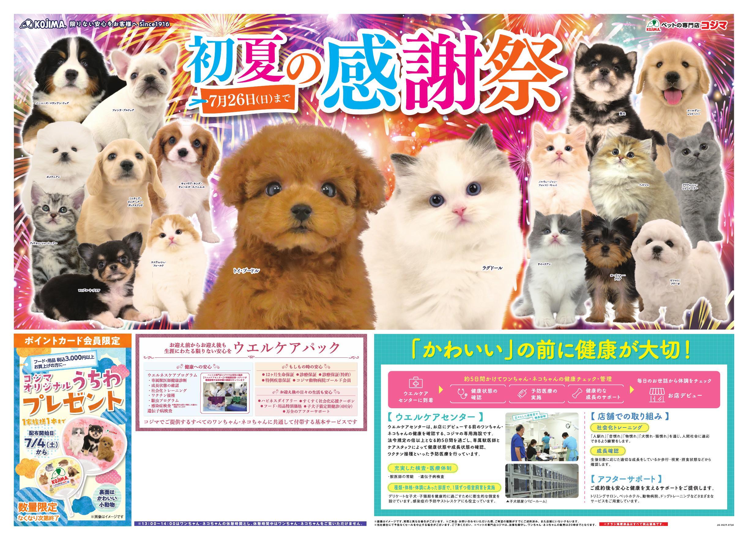 ペットの専門店コジマ フォルテ津田沼店の最新チラシ・セール情報
