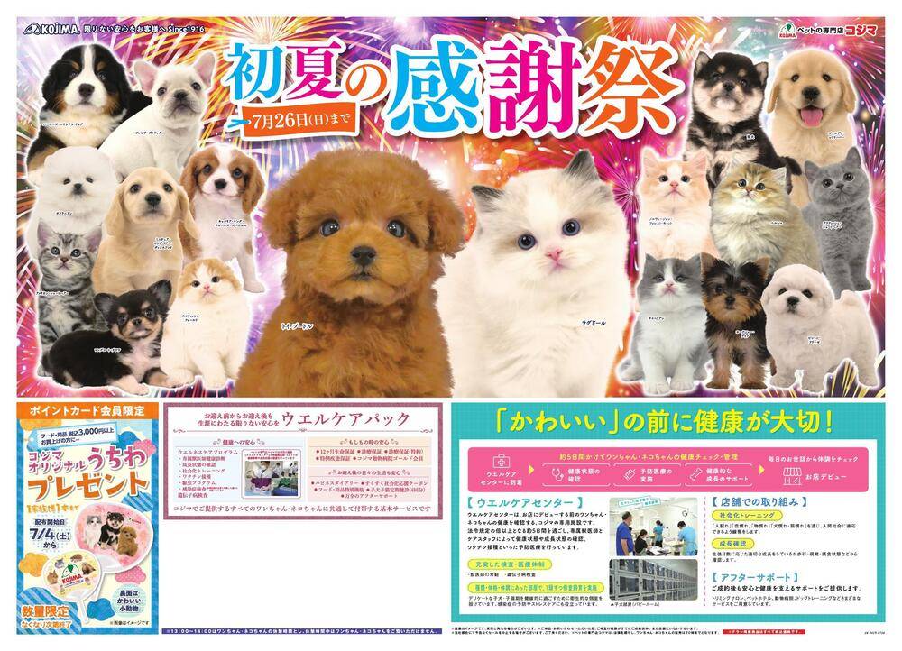 ペットの専門店コジマ フォルテ津田沼店の最新チラシ・セール情報