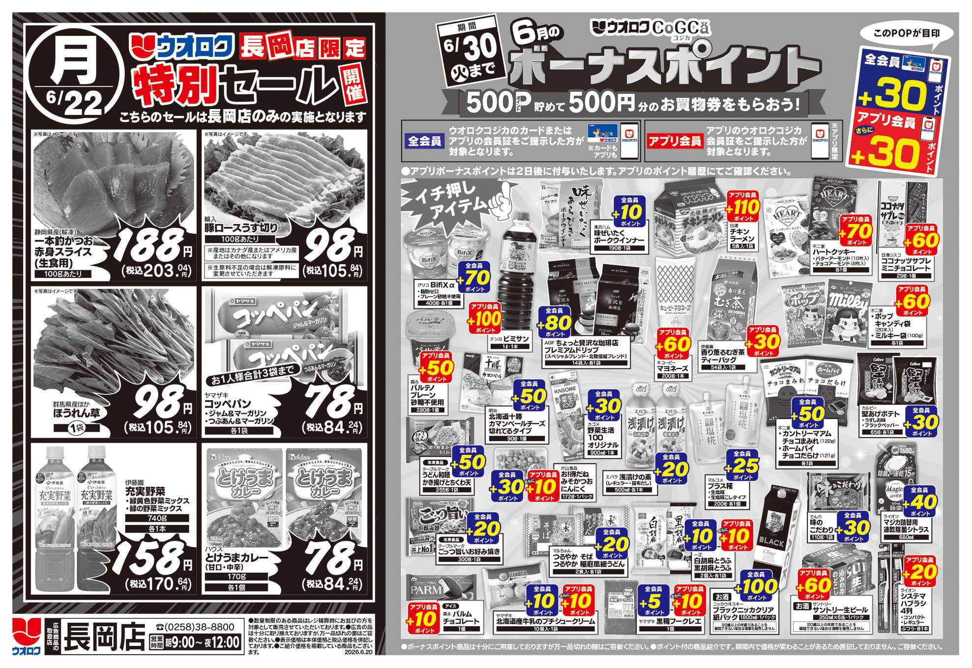 ウオロク 長岡店限定　特別セール/ボーナスポイント