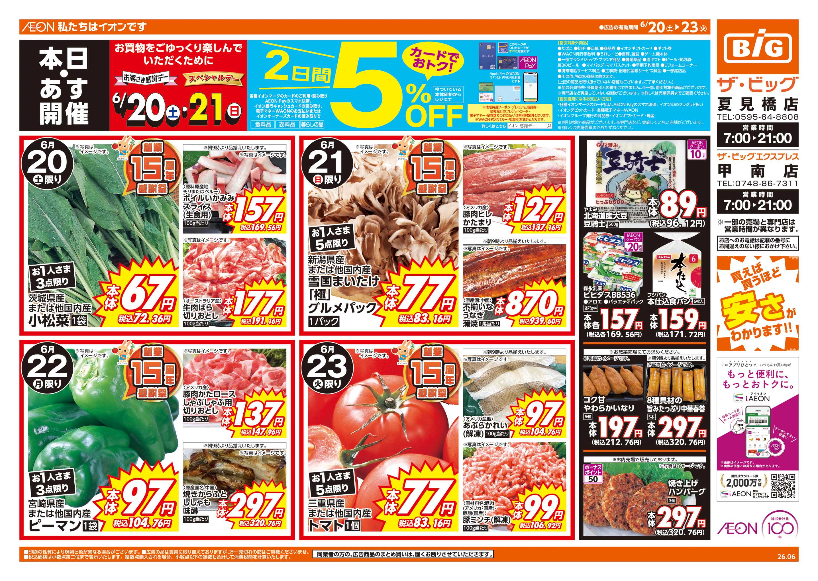 ザ・ビッグ 週末チラシ