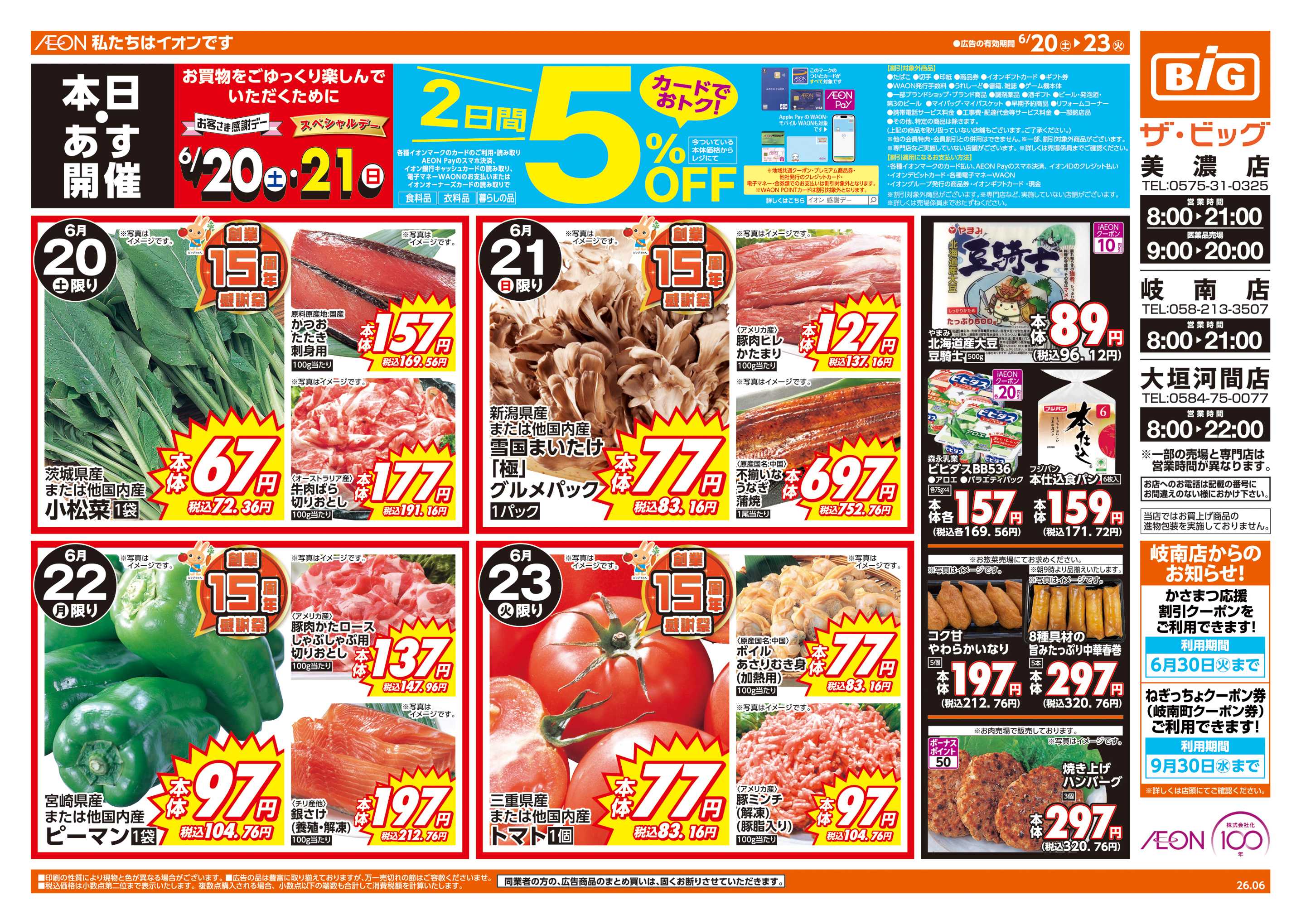 ザ・ビッグ 週末チラシ