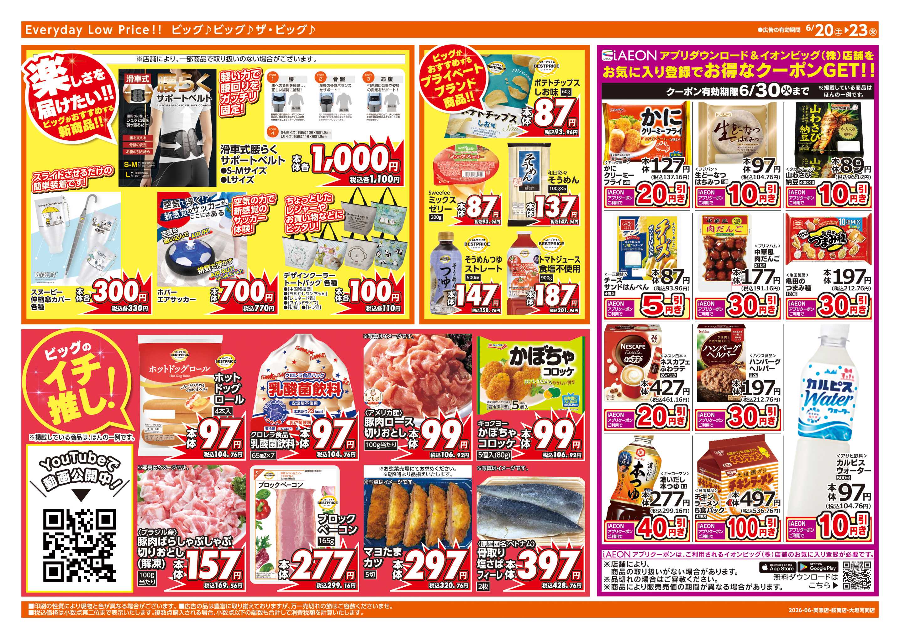 ザ・ビッグ 週末チラシ
