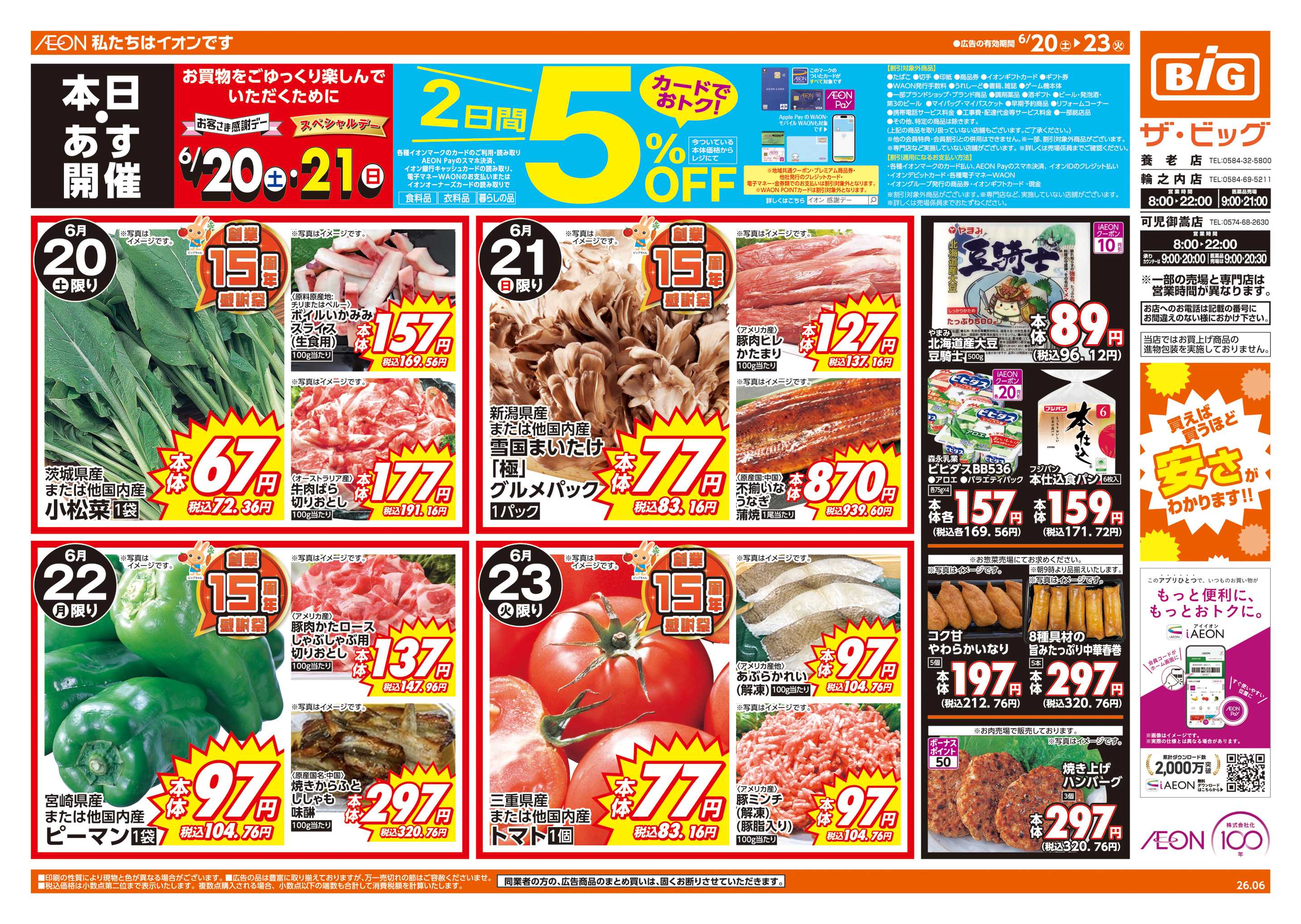 ザ・ビッグ 週末チラシ
