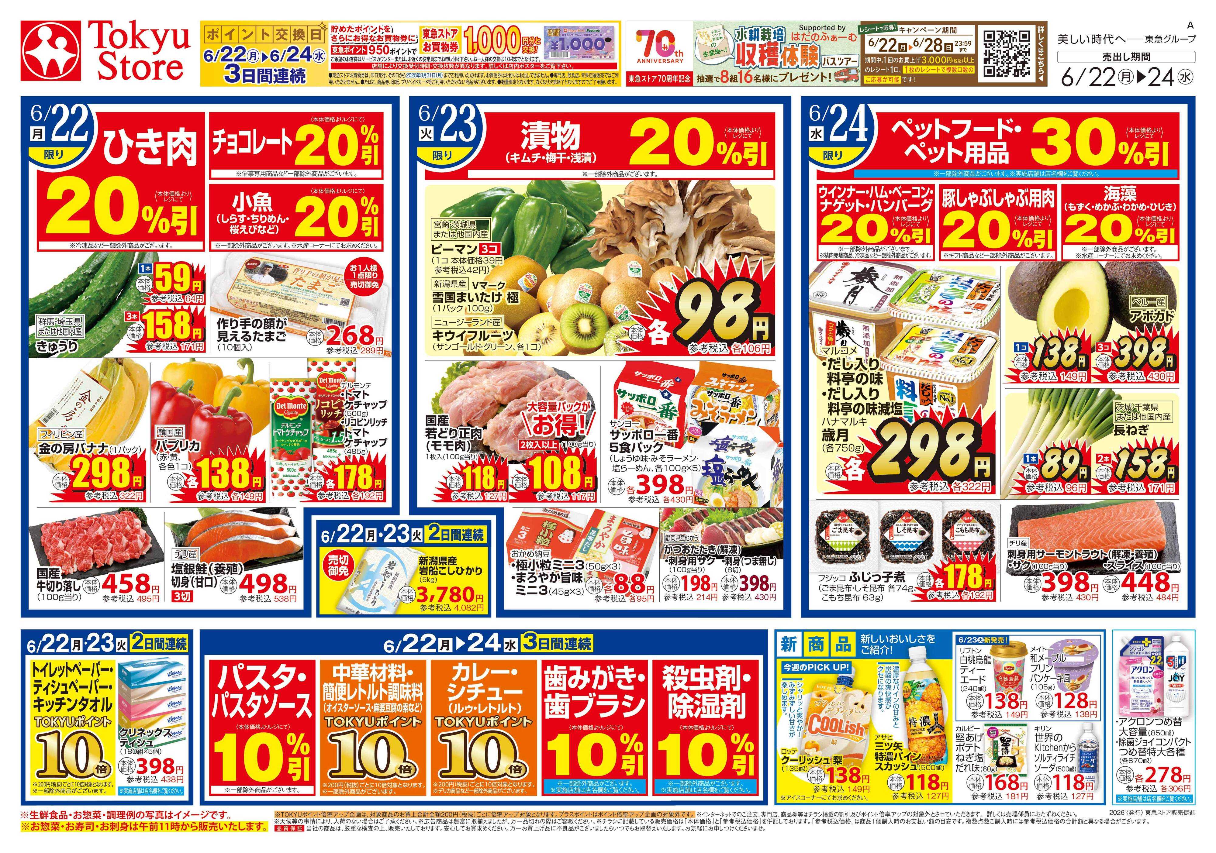 とうきゅう 6月22日東急ストアチラシ配信用