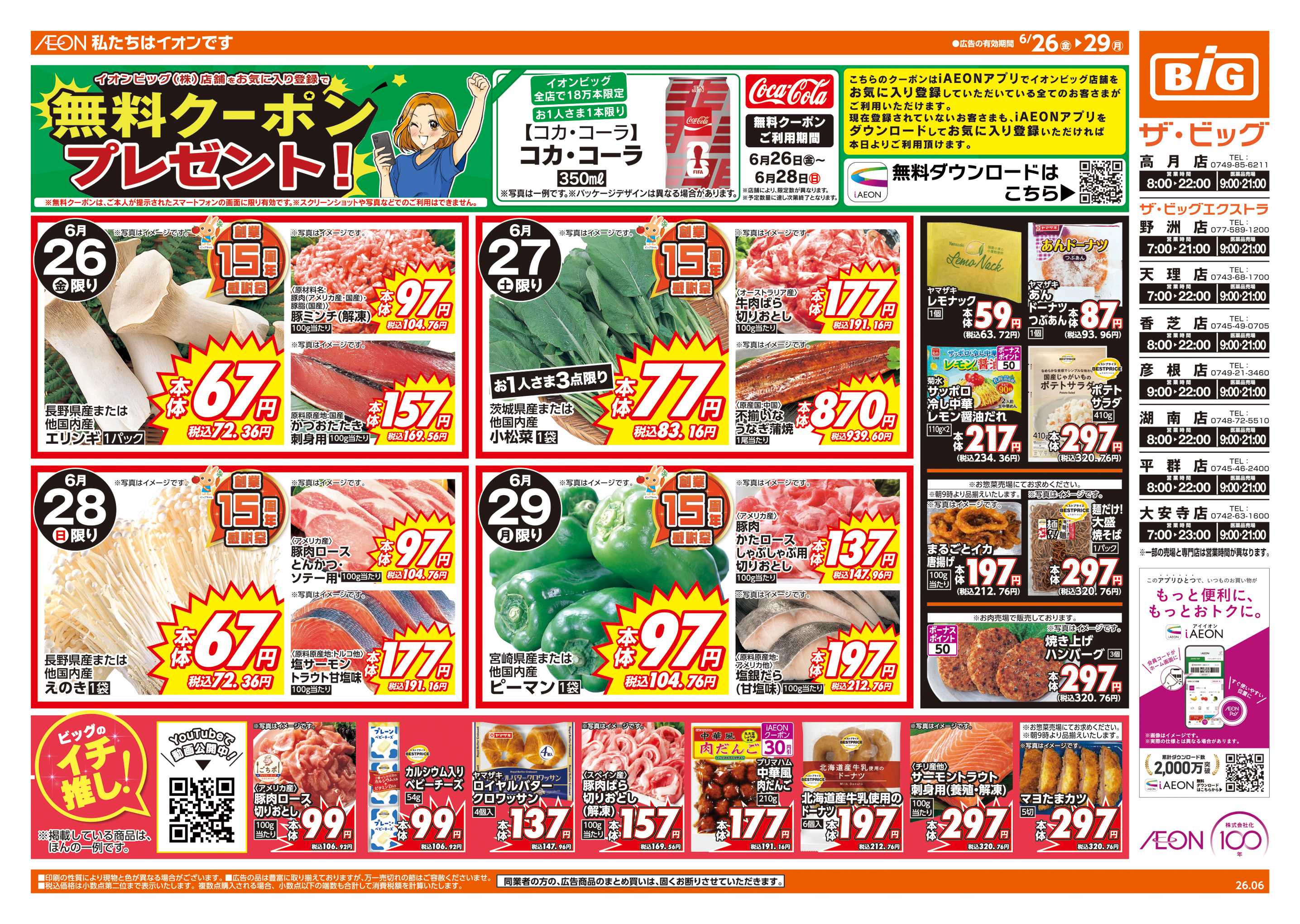 ザ・ビッグ 週末チラシ