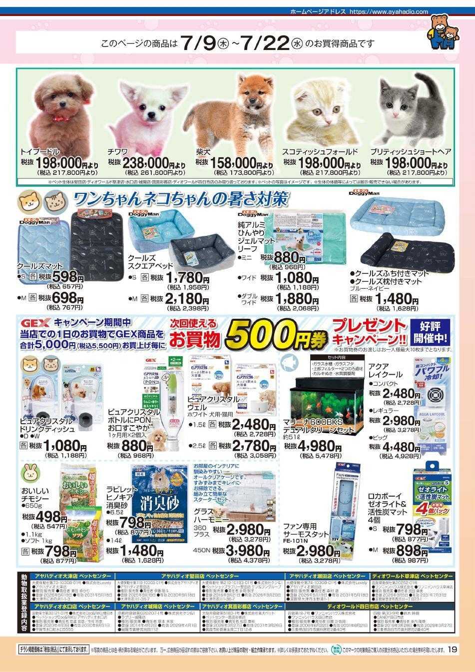 アヤハディオ アヤカ会員様特別ご優待会