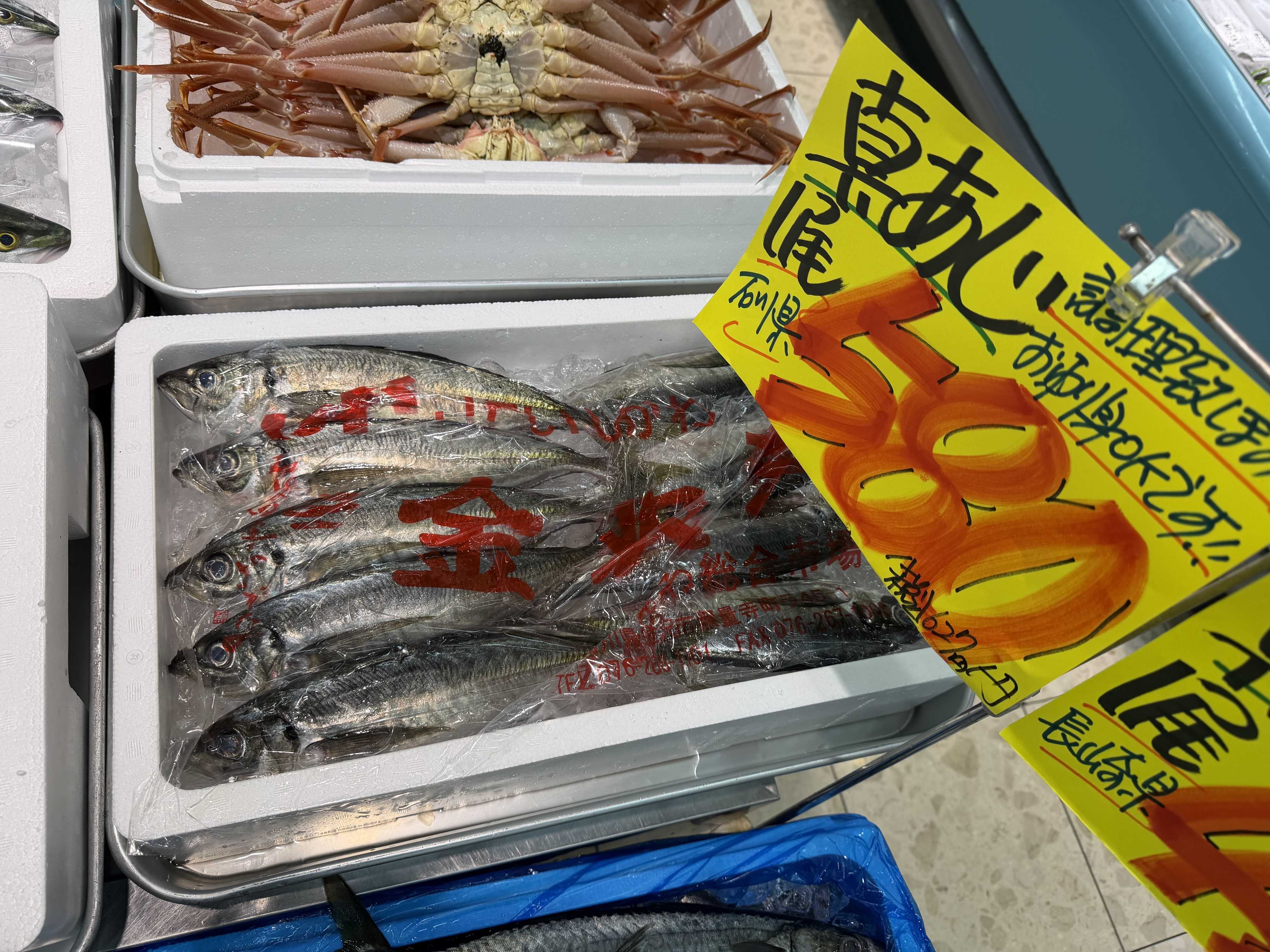 たこ一 