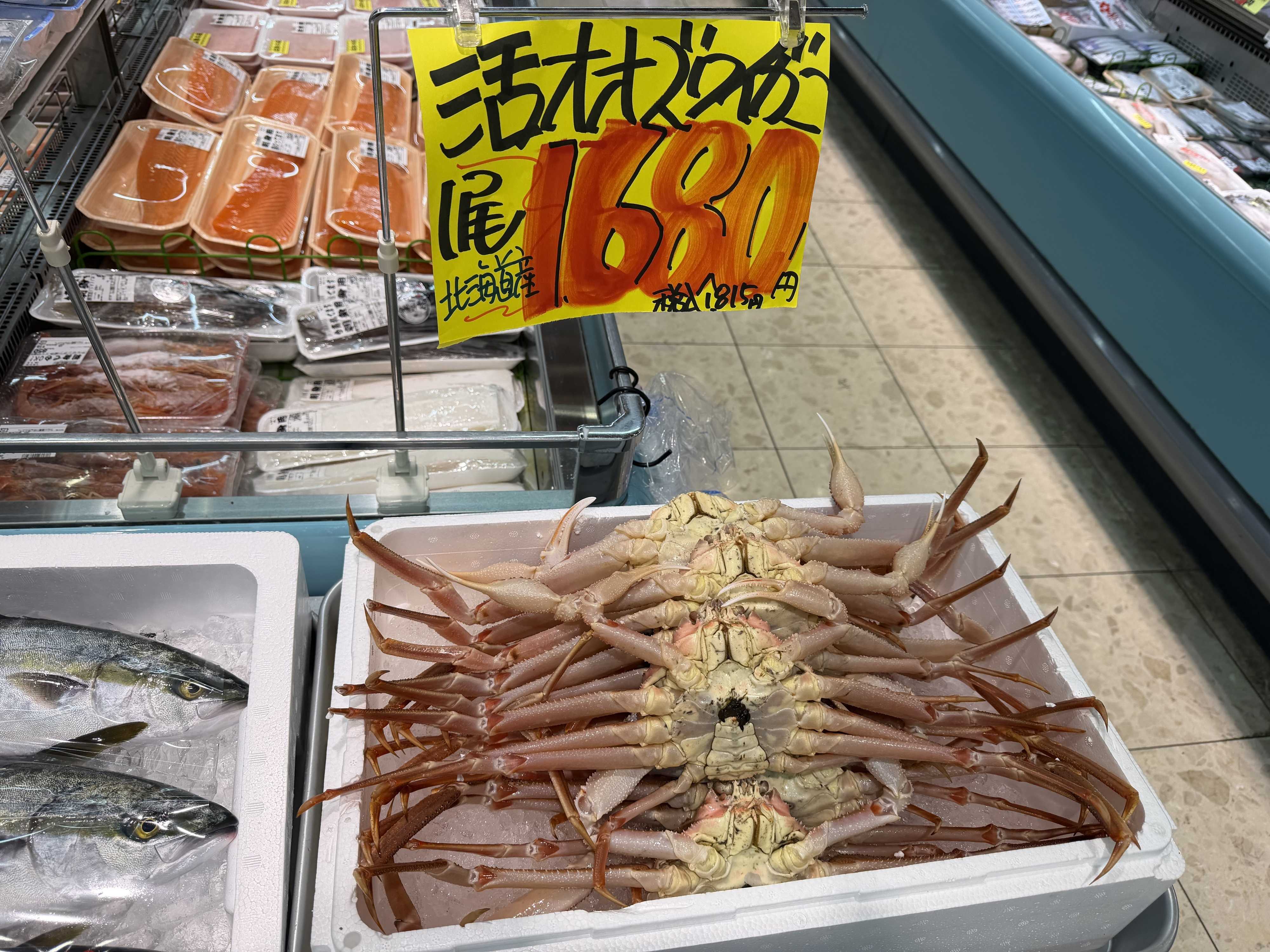 たこ一 