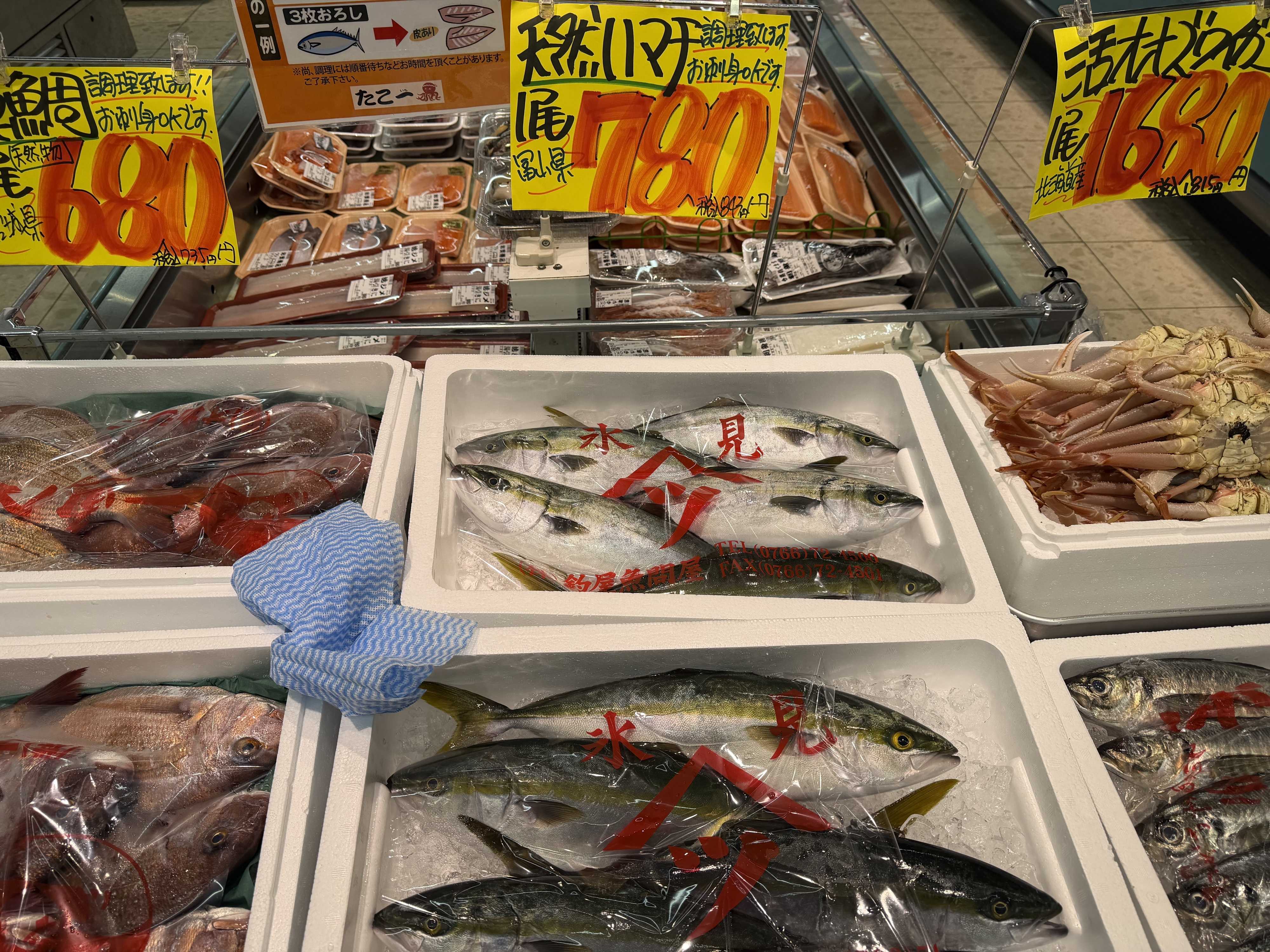 たこ一 