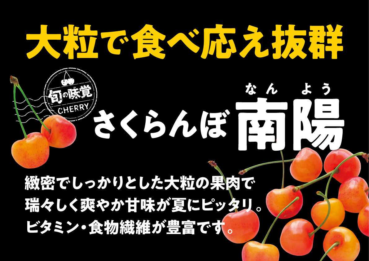 北海市場 【7月のこだわり商品】南陽（さくらんぼ）▼▼お知らせをチェック！▼▼