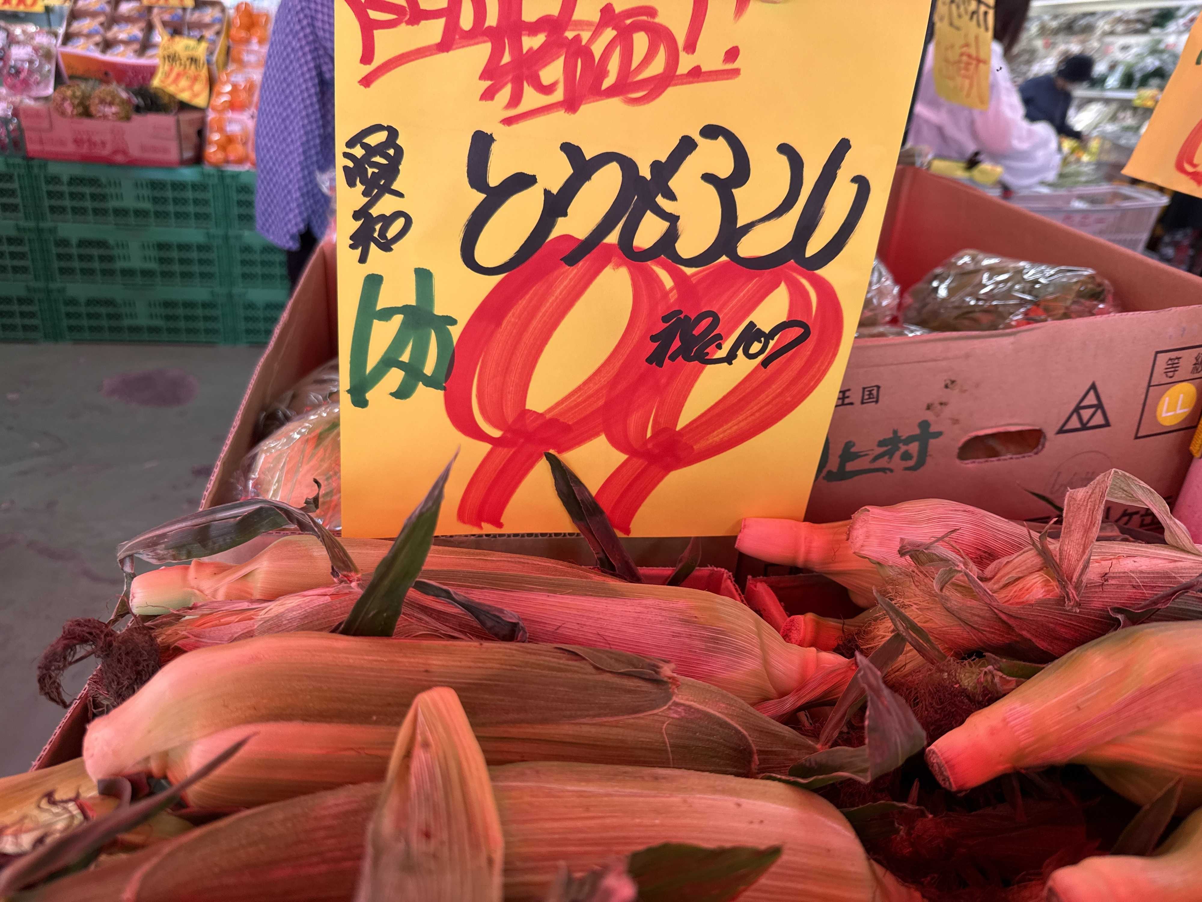 たこ一 