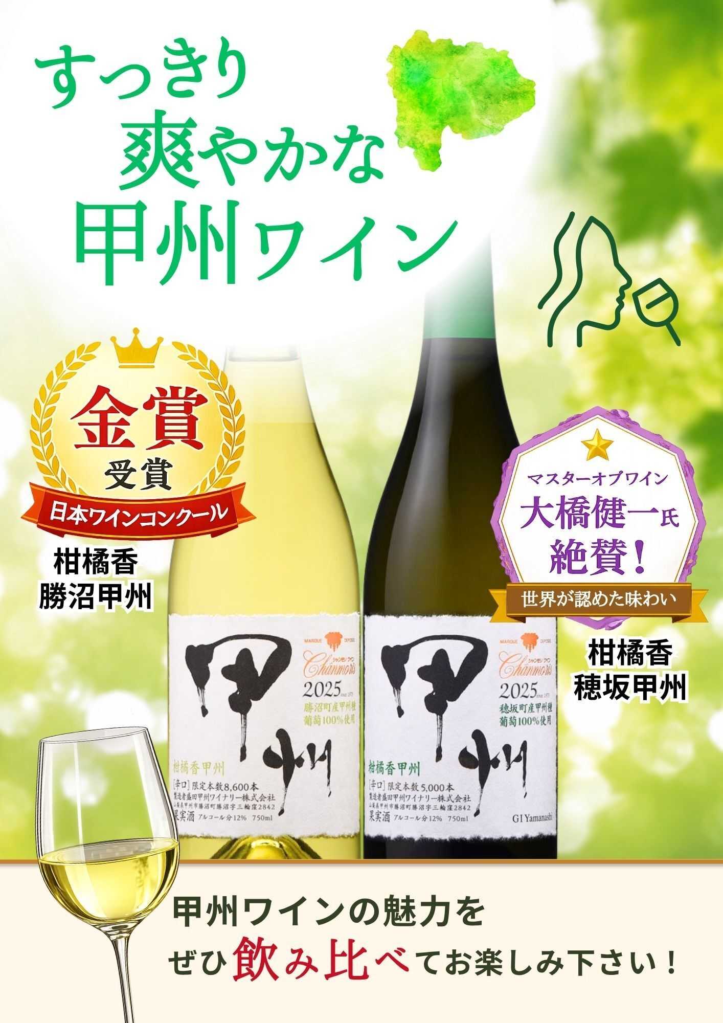 酒アルコ 今月のオススメワイン