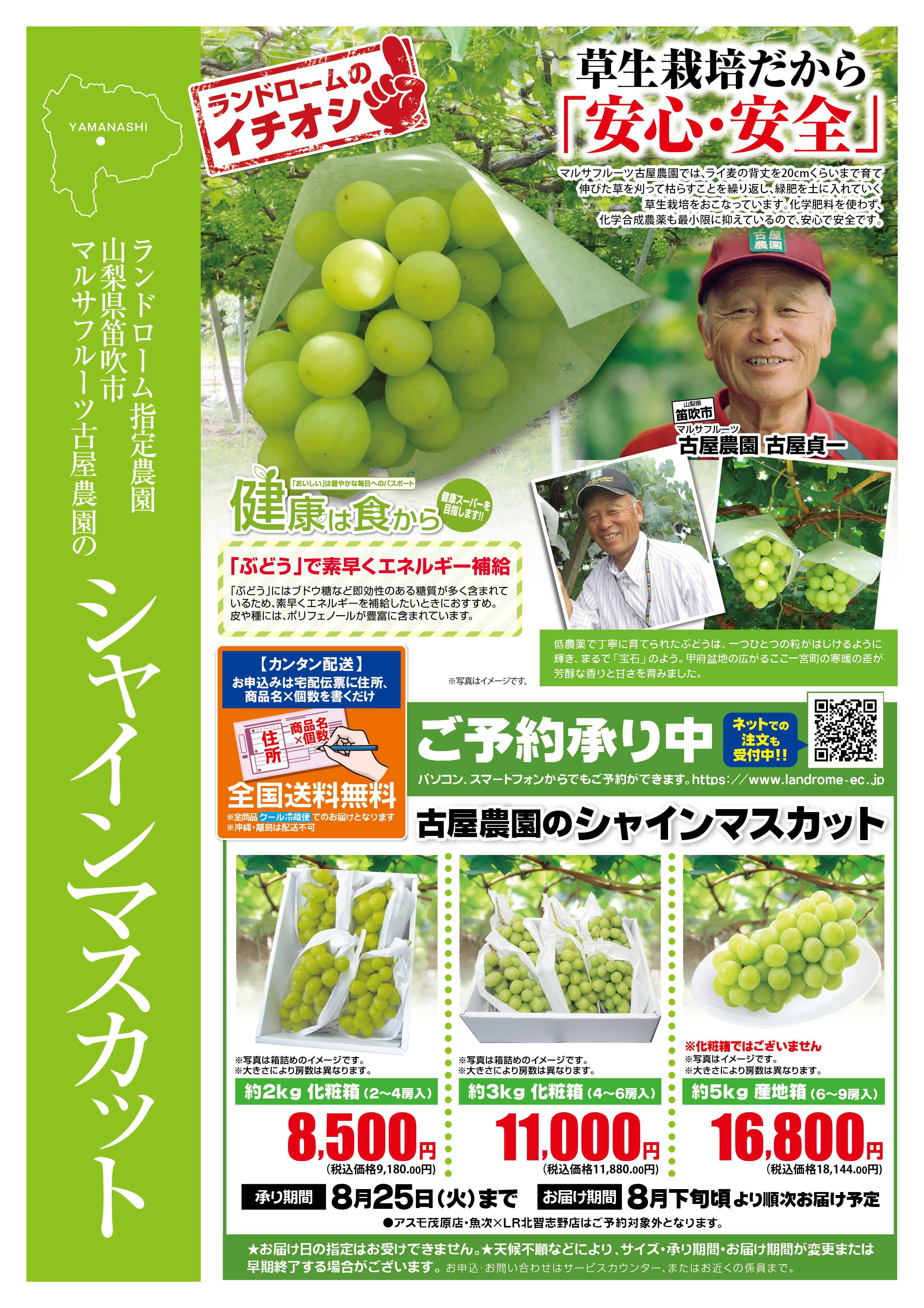 ランドローム 7月古屋農園のシャインマスカット