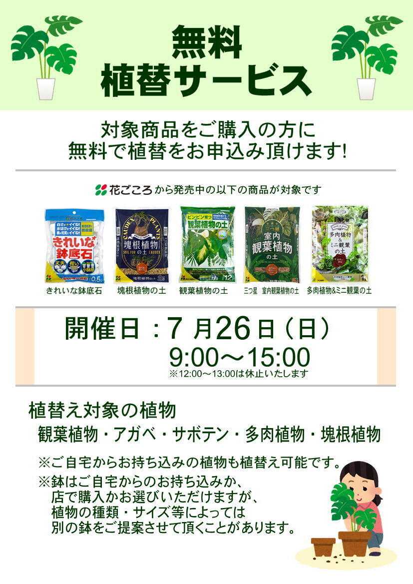 JA尾張中央 観葉植物　植替えサービス日のお知らせ