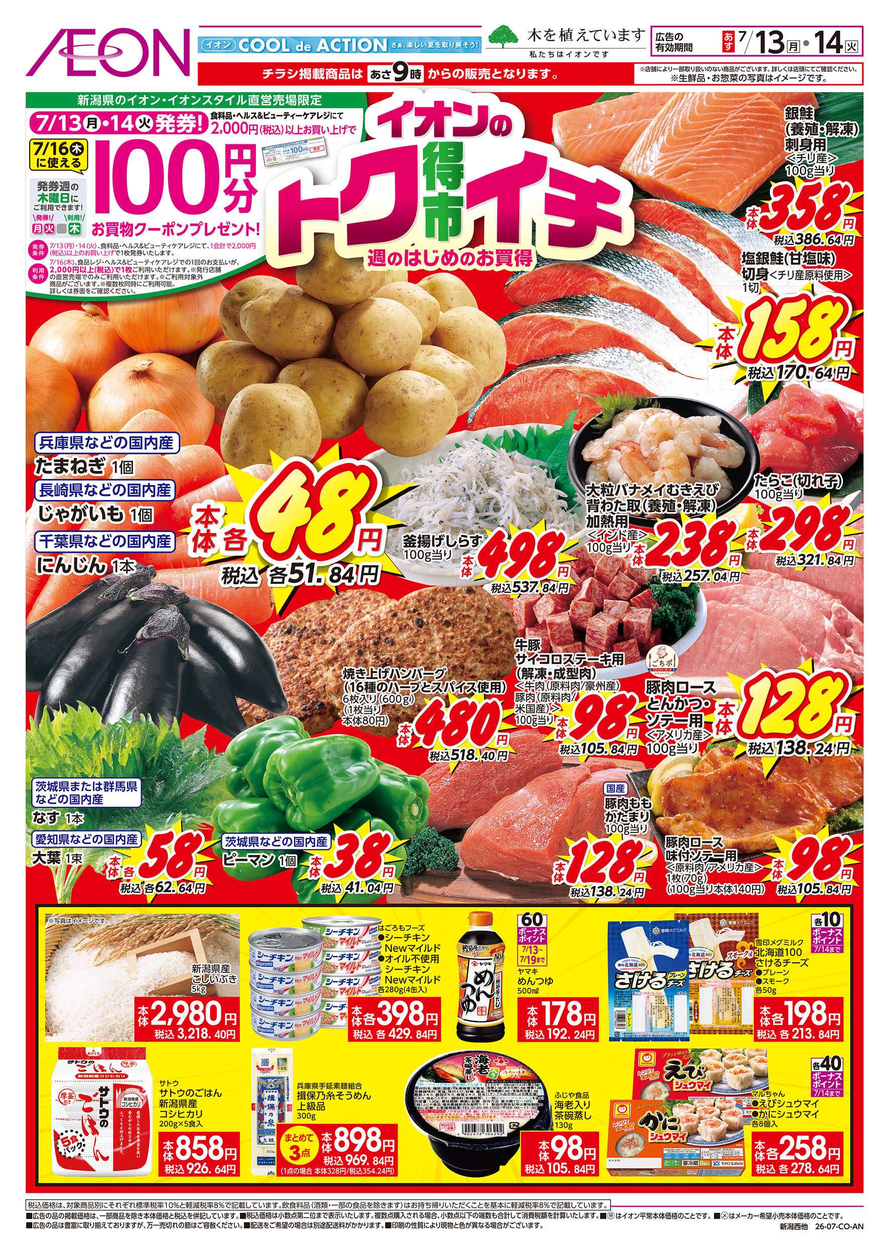 イオンスタイル 7/13号　イオンのトクイチ：表面