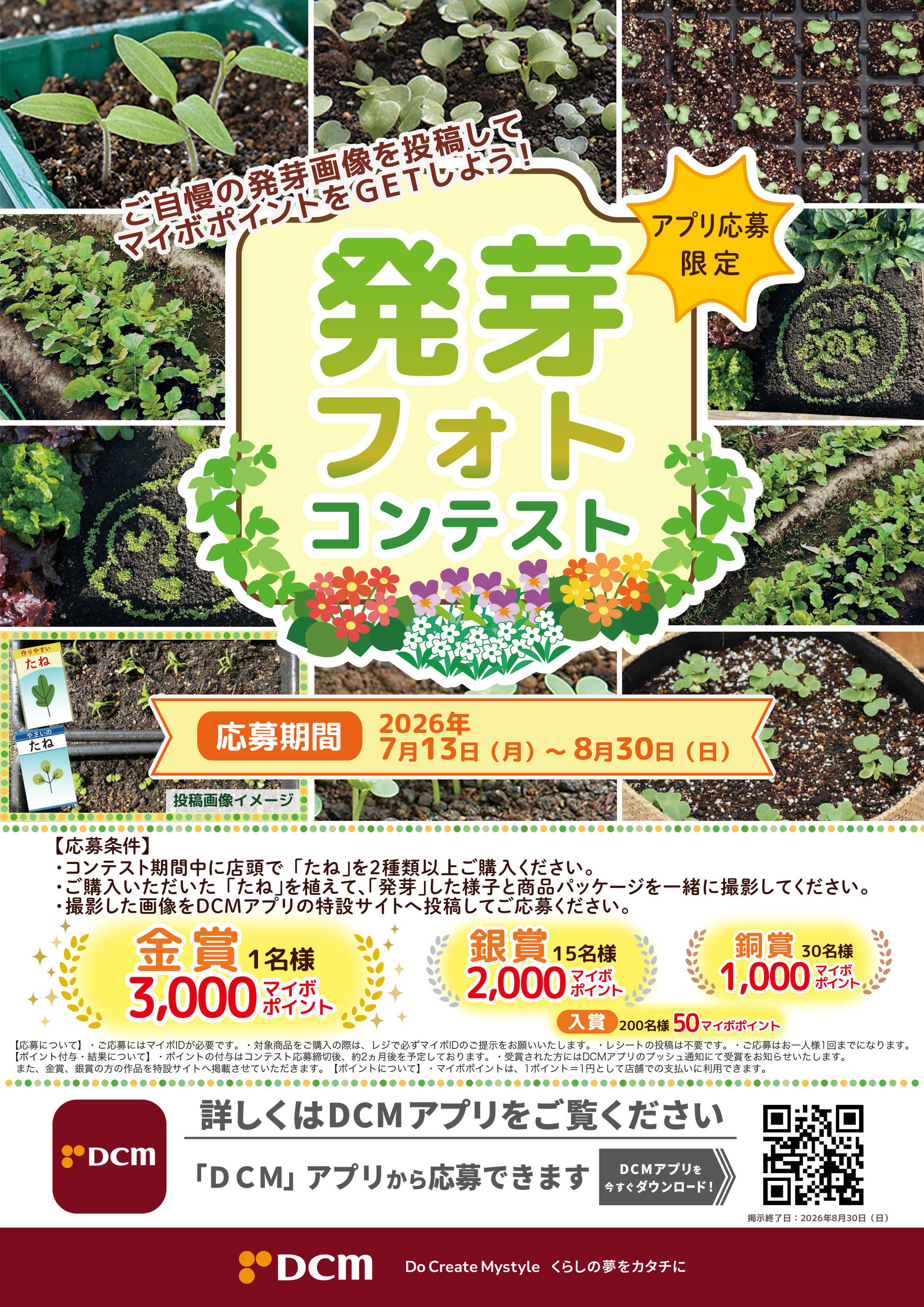 DCM ご自慢の発芽画像を投稿して マイボポイントをG E T しよう！発芽フォトコンテスト