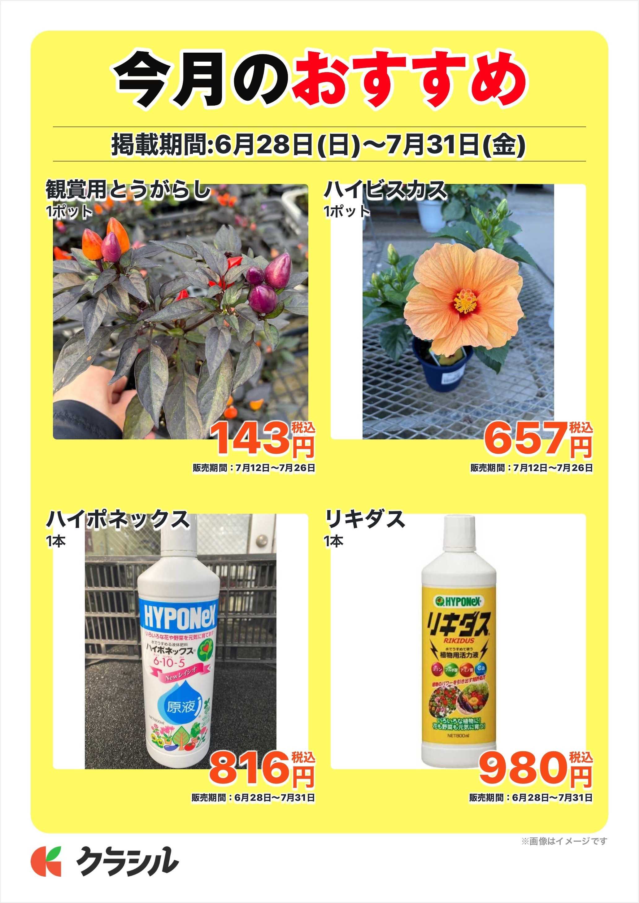 JAあいち三河 今月のおすすめ